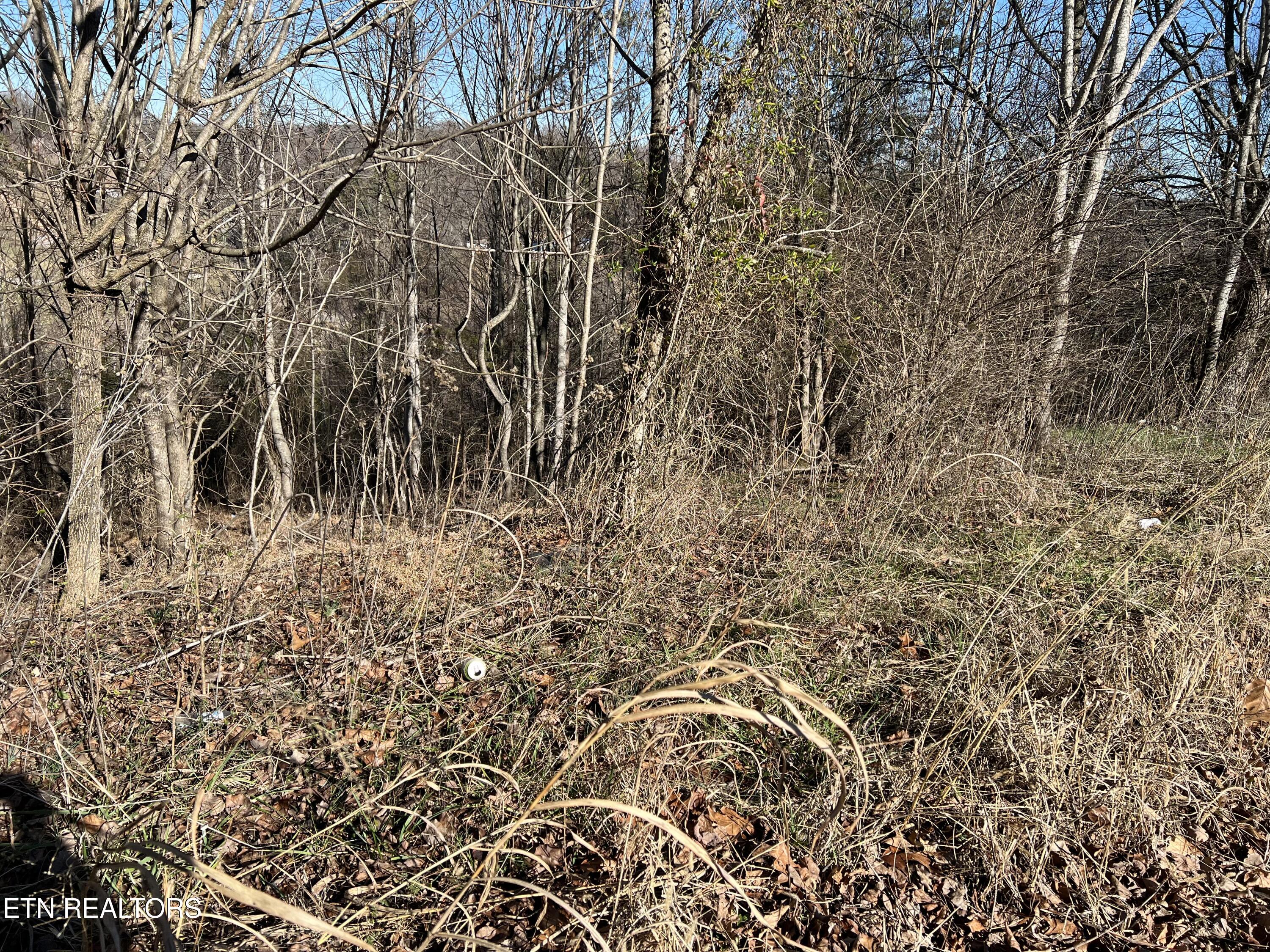 Baldwin View Drive New Market TN 37820