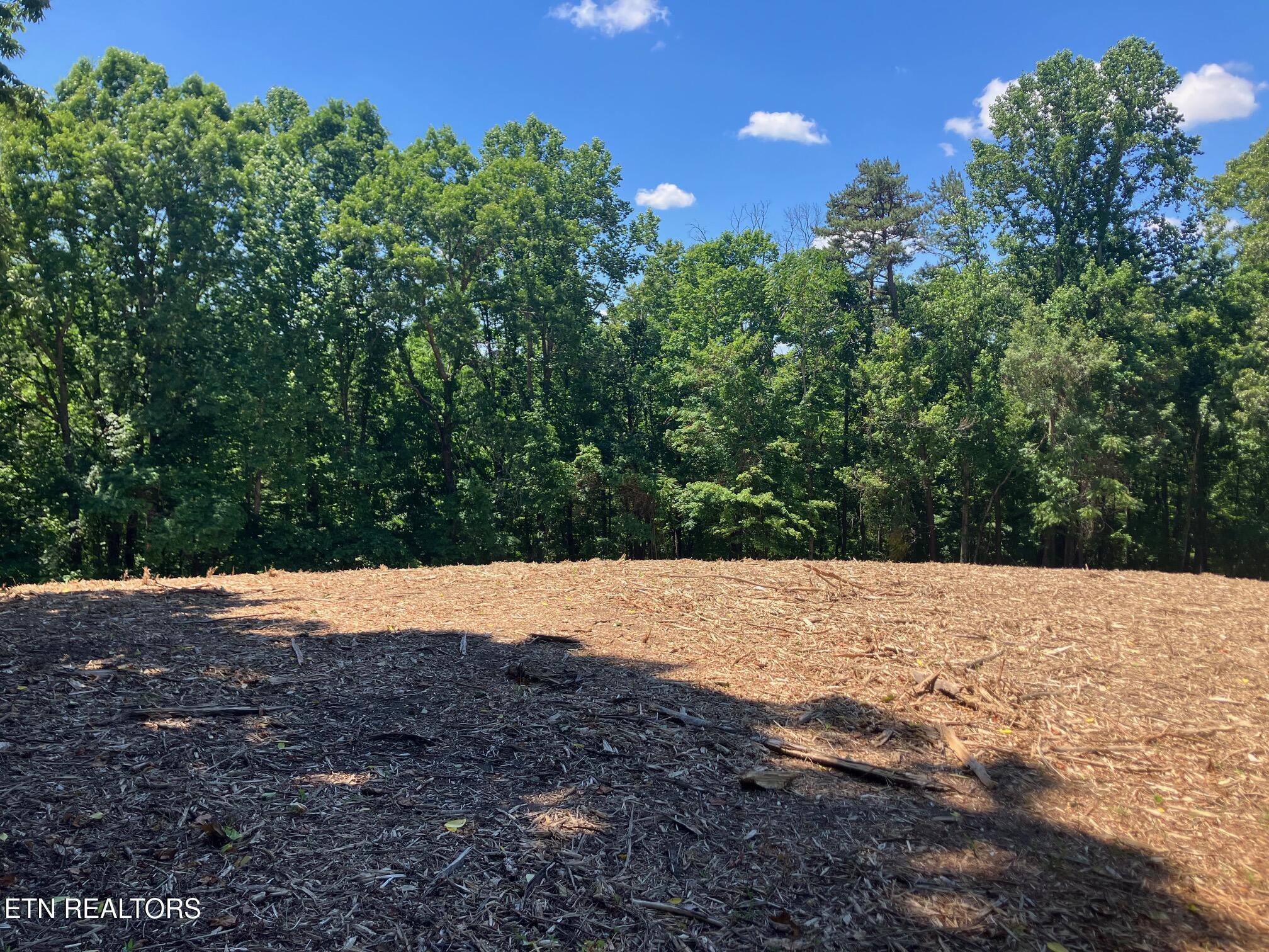 Tract 2 Graves Hollow Road Maynardville TN 37807