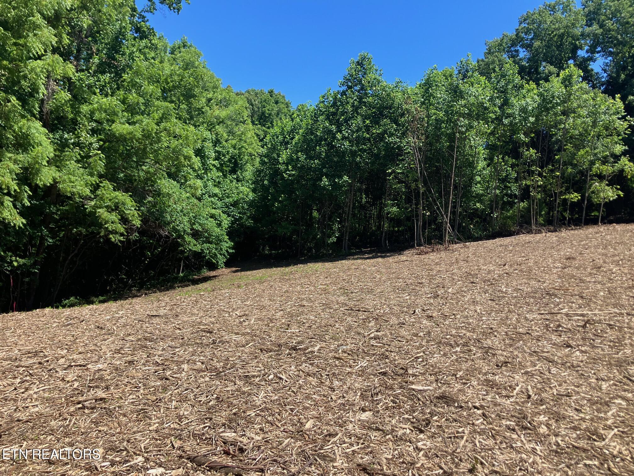 Tract 2 Graves Hollow Road Maynardville TN 37807