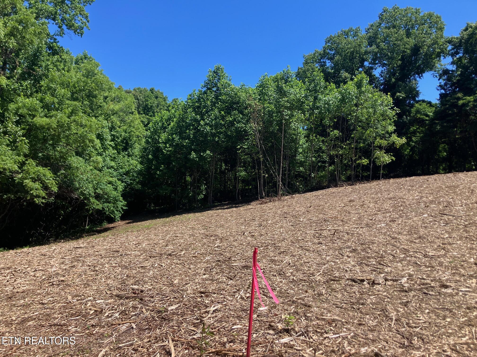 Tract 2 Graves Hollow Road Maynardville TN 37807