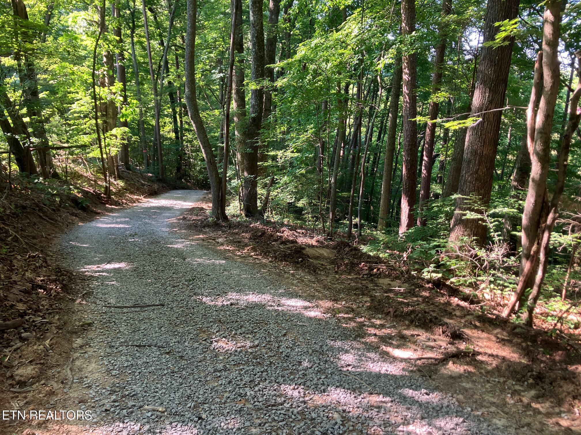 Tract 2 Graves Hollow Road Maynardville TN 37807