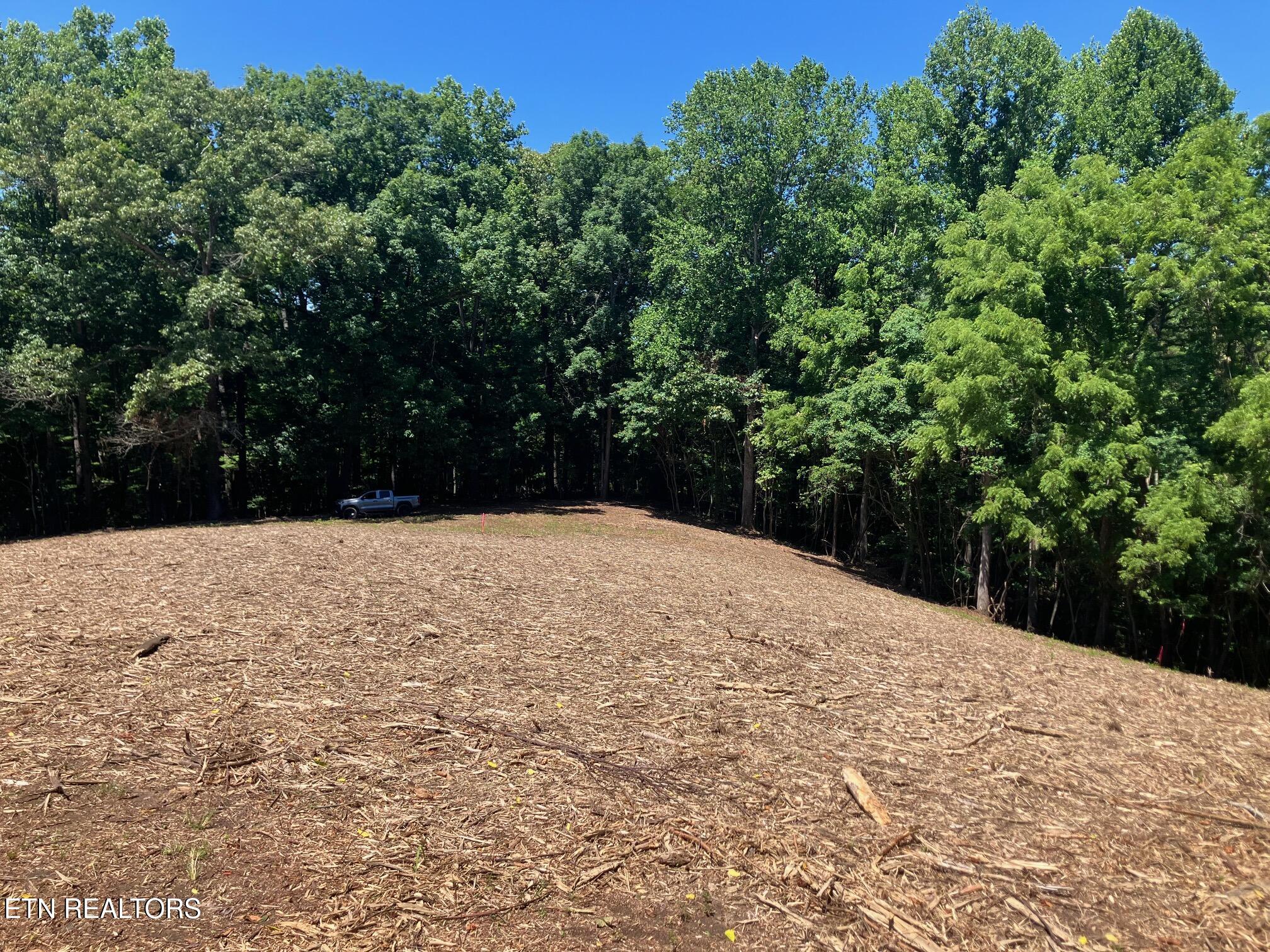 Tract 2 Graves Hollow Road Maynardville TN 37807