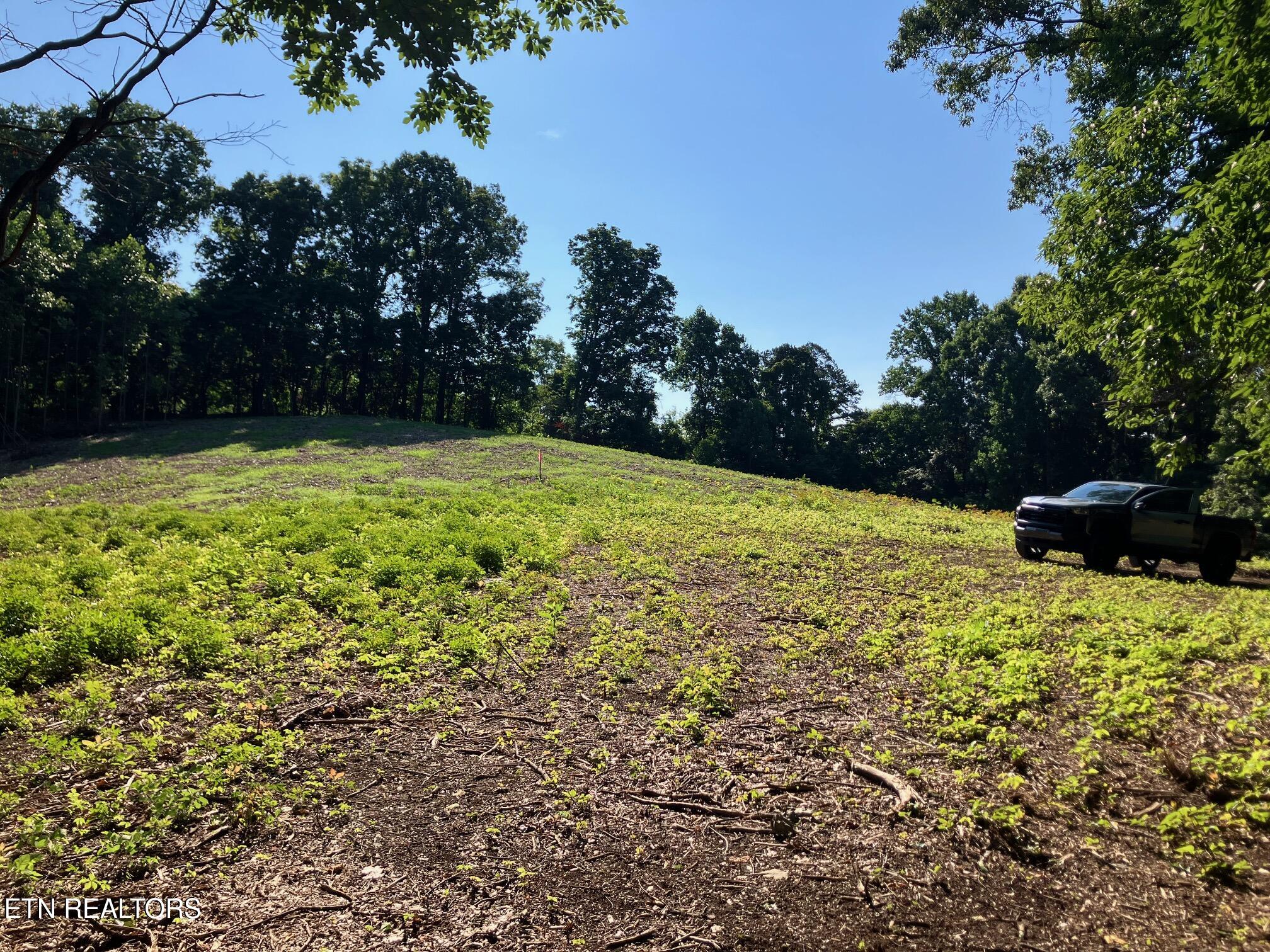 Tract 2 Graves Hollow Road Maynardville TN 37807