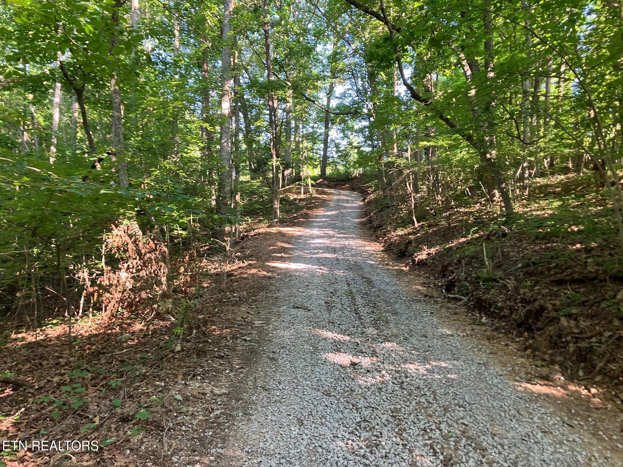 Tract 2 Graves Hollow Road Maynardville TN 37807