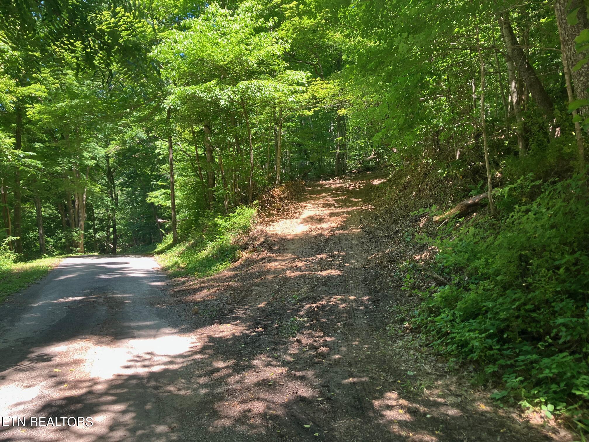 Tract 2 Graves Hollow Road Maynardville TN 37807