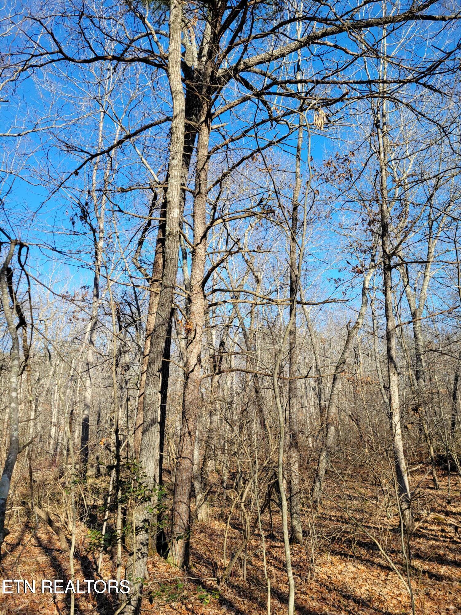 11 Rhonda Road Monterey TN 38574