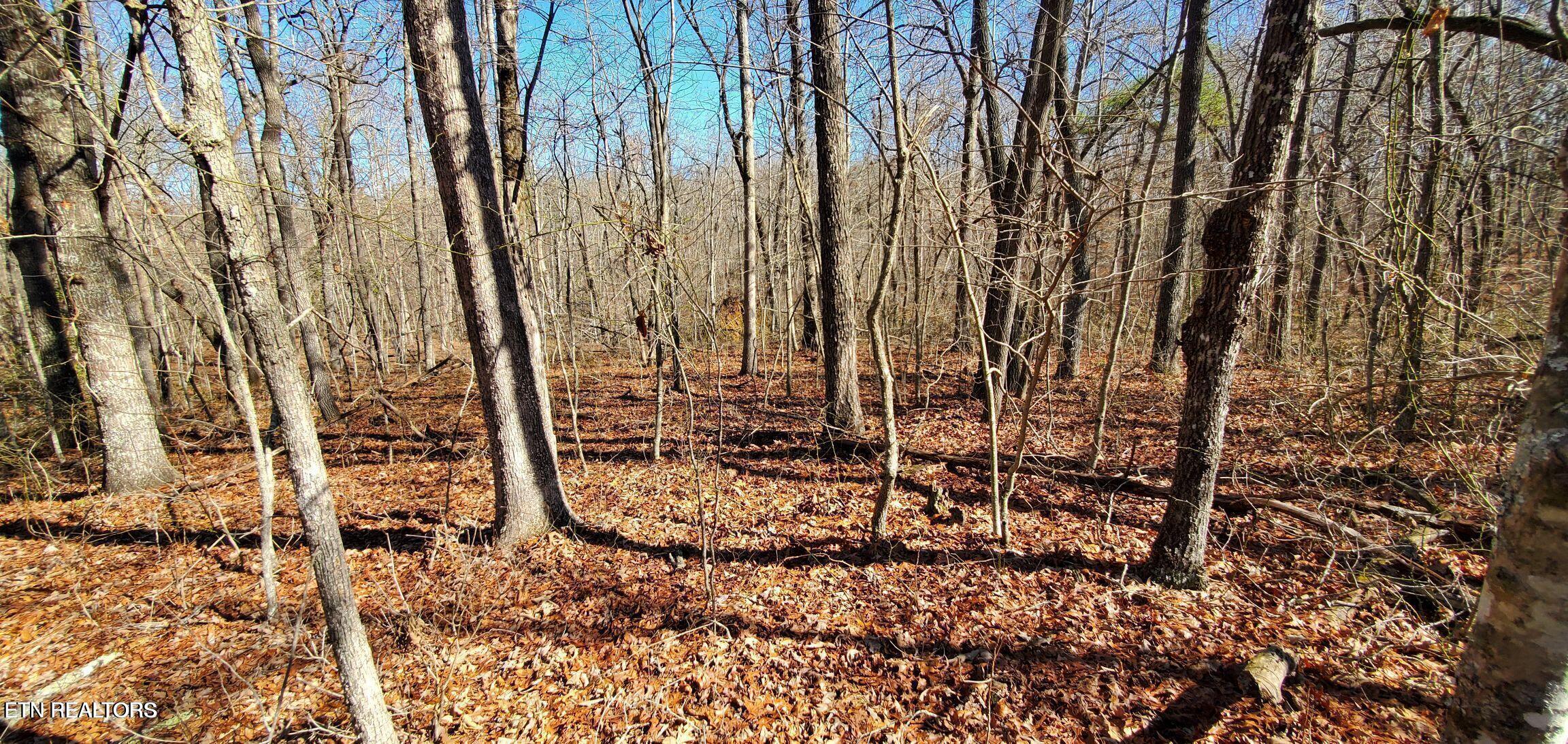 11 Rhonda Road Monterey TN 38574