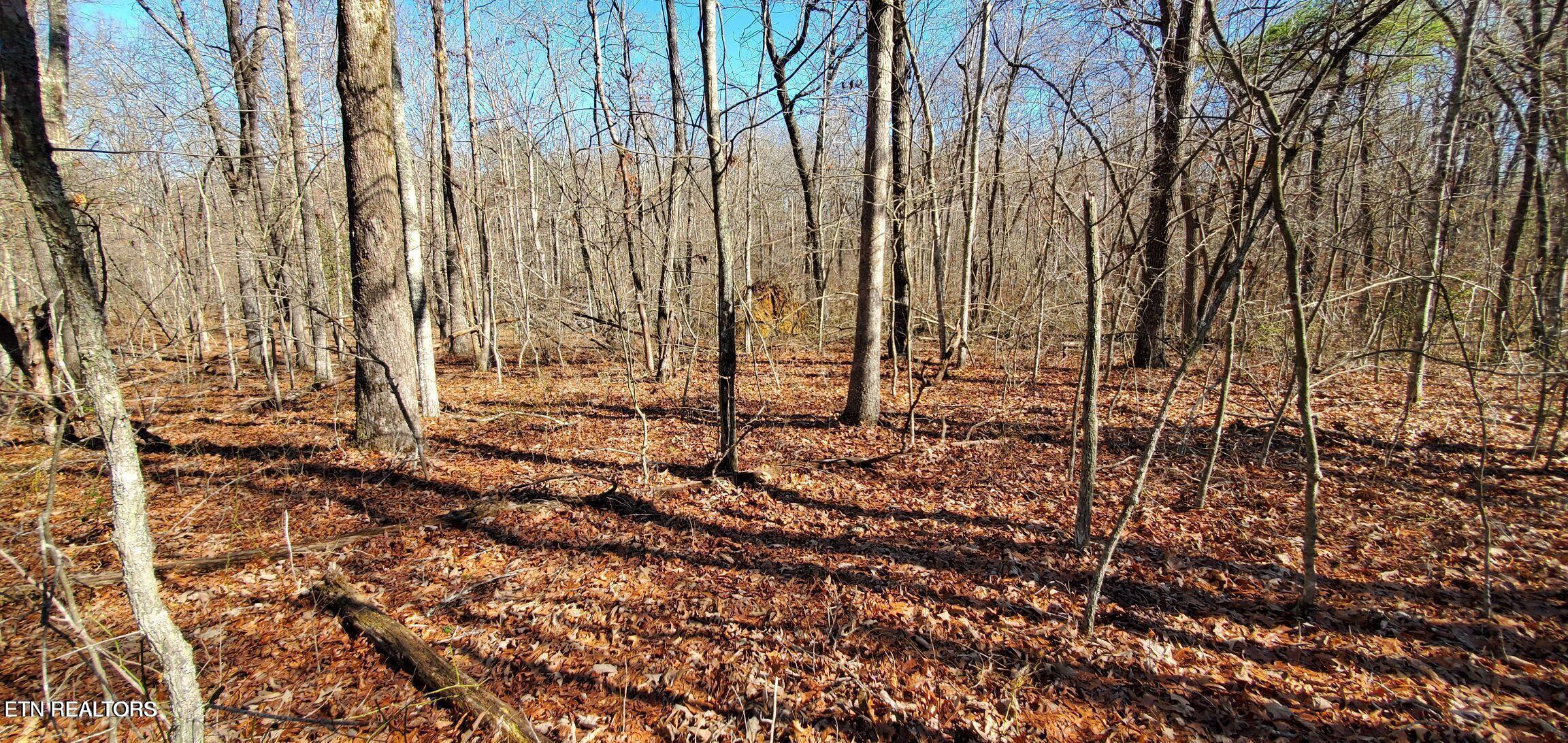 11 Rhonda Road Monterey TN 38574