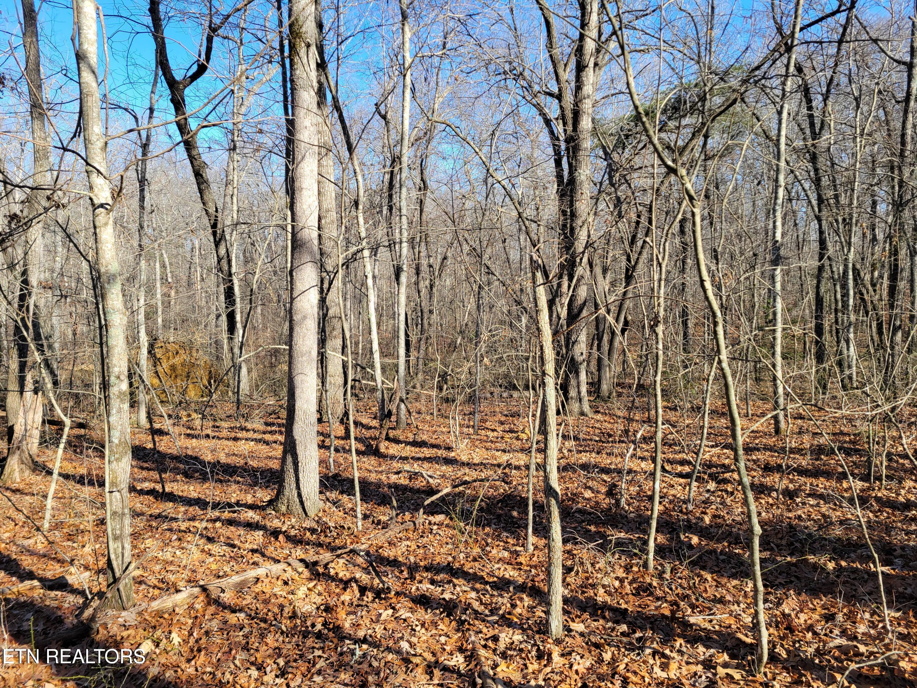 11 Rhonda Road Monterey TN 38574