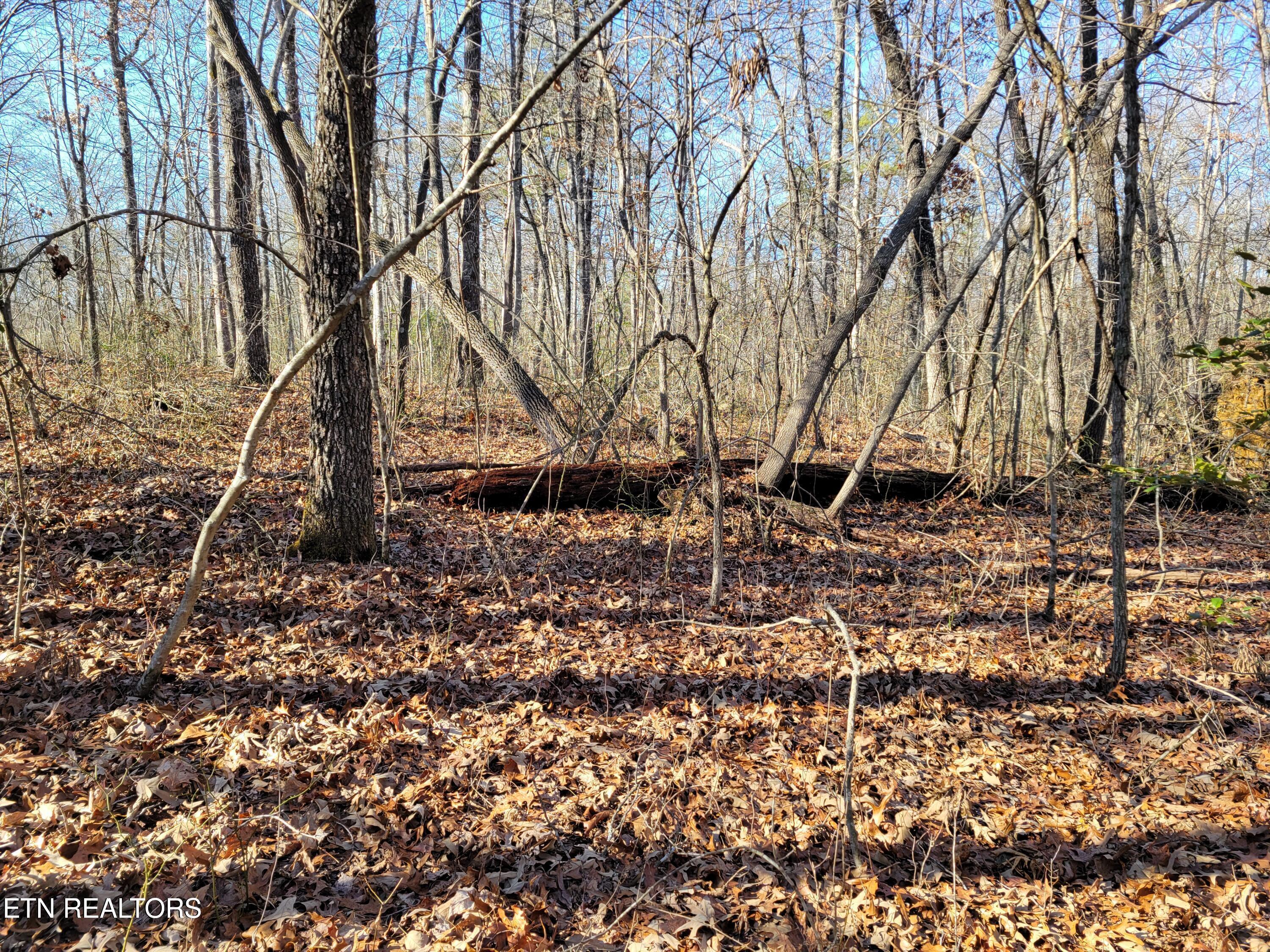 11 Rhonda Road Monterey TN 38574