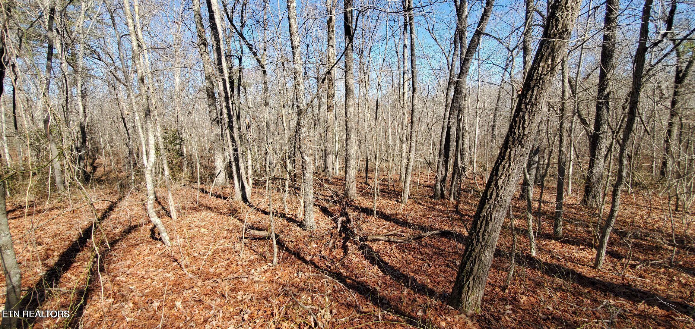 11 Rhonda Road Monterey TN 38574