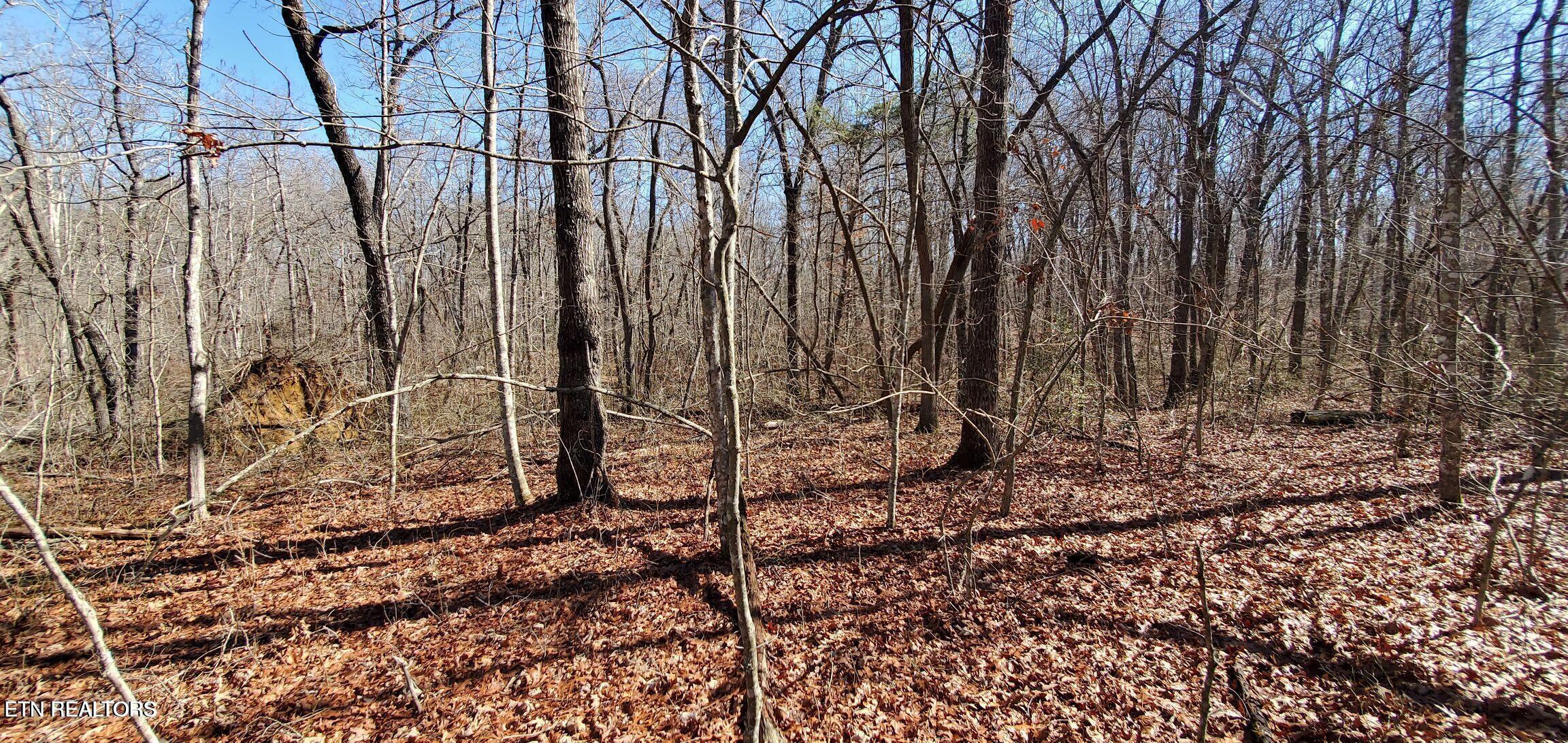 11 Rhonda Road Monterey TN 38574