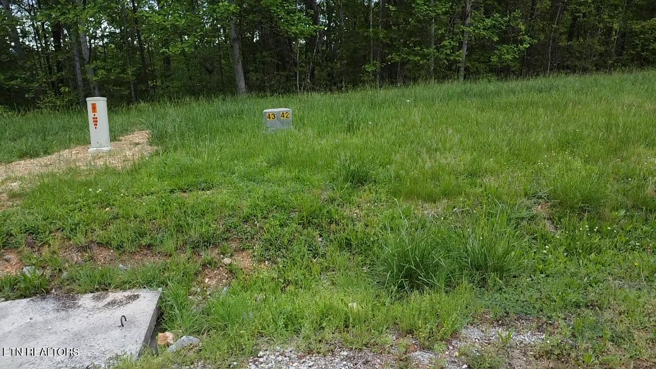 42 Old Hearth Drive Lafollette TN 37766