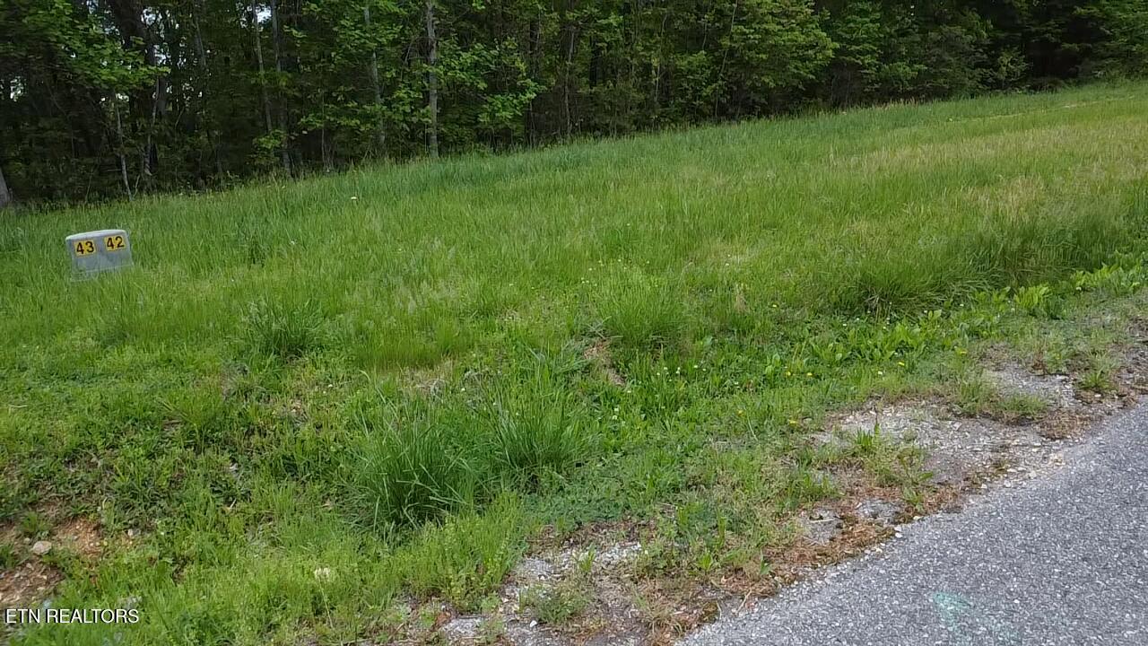 42 Old Hearth Drive Lafollette TN 37766