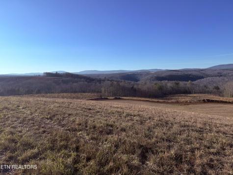 Possom Trot Road - Tract 4 Grandview TN 37337