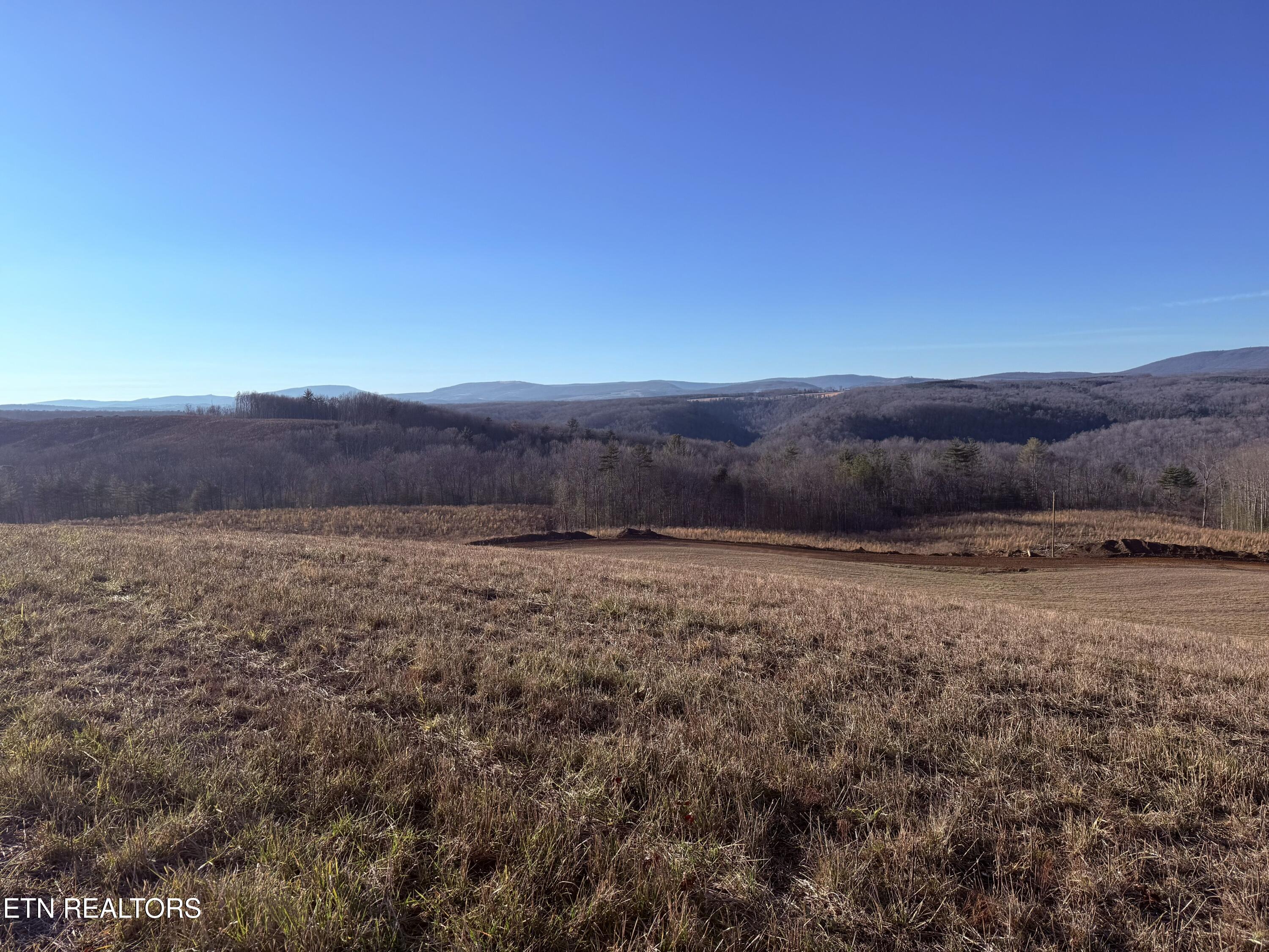 Possom Trot Road - Tract 4 Grandview TN 37337
