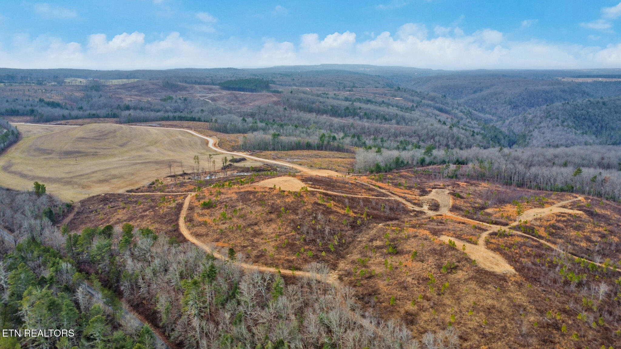 Possom Trot Road - Tract 4 Grandview TN 37337
