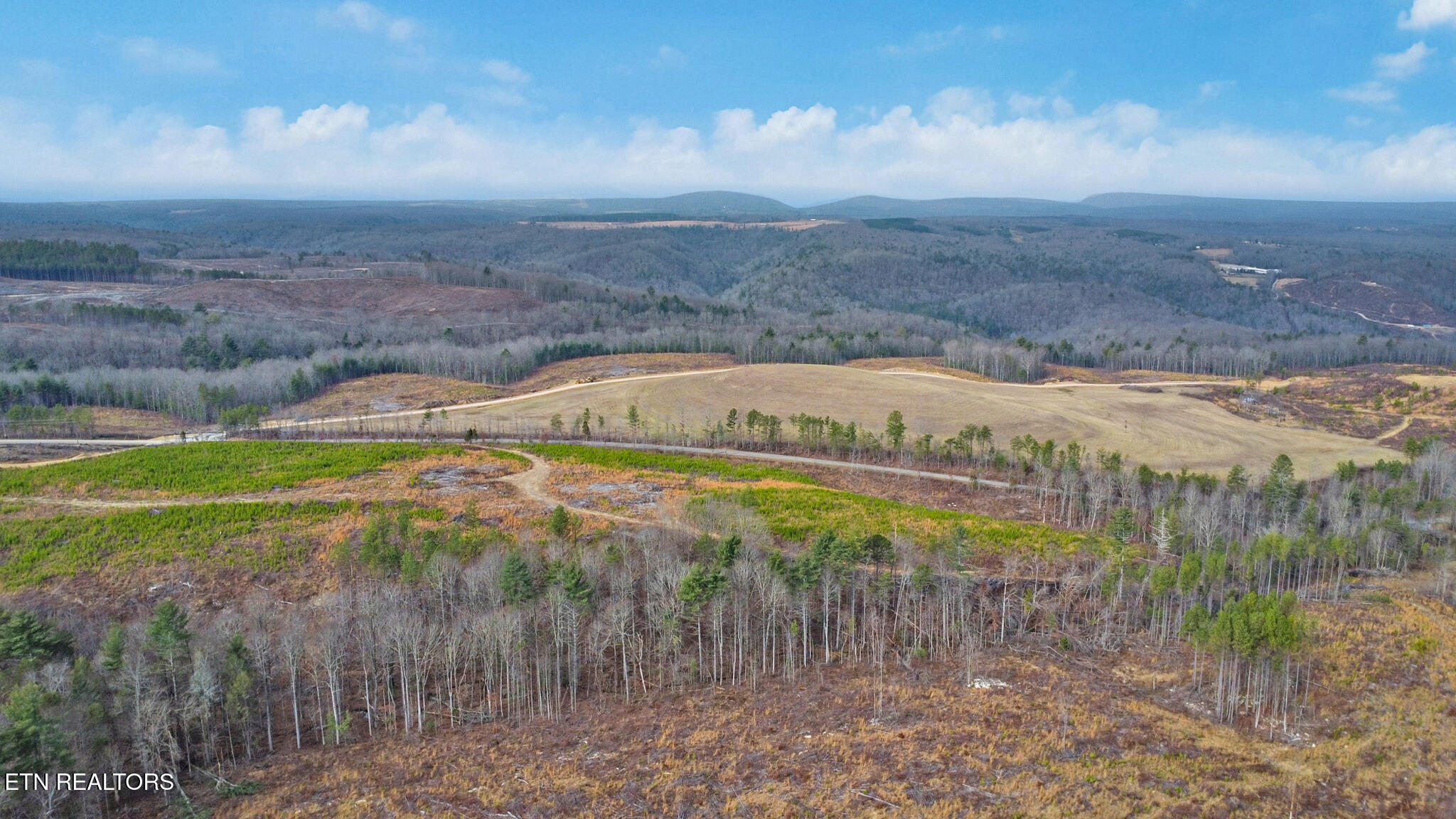 Possom Trot Road - Tract 4 Grandview TN 37337