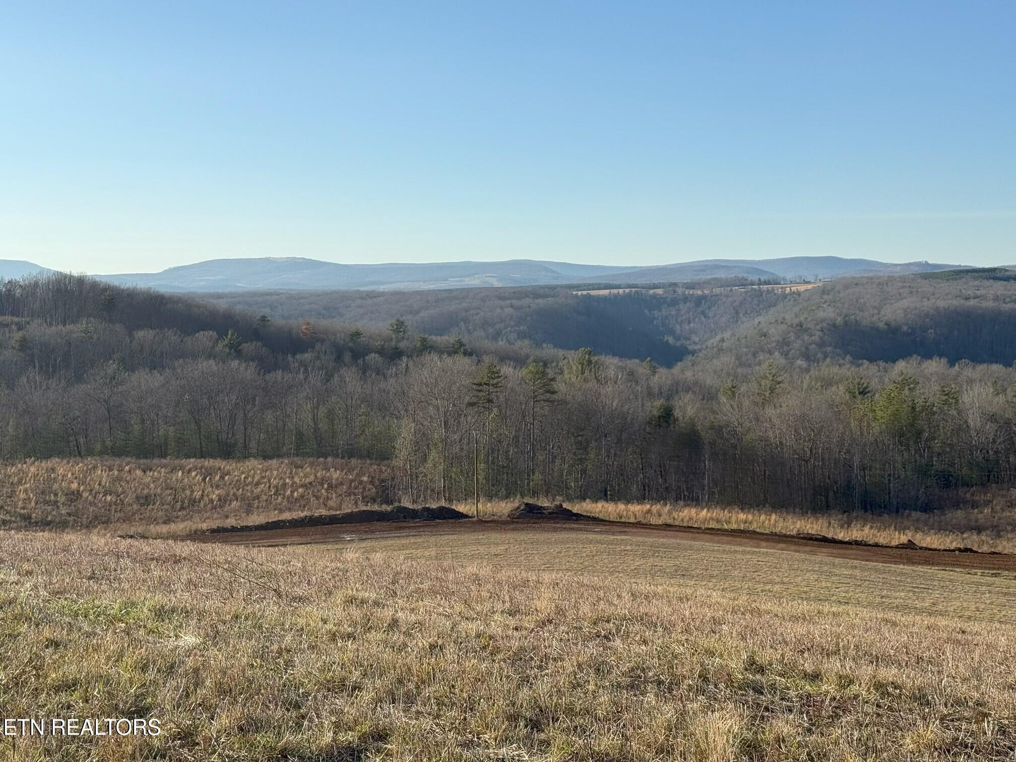 Possom Trot Road - Tract 4 Grandview TN 37337