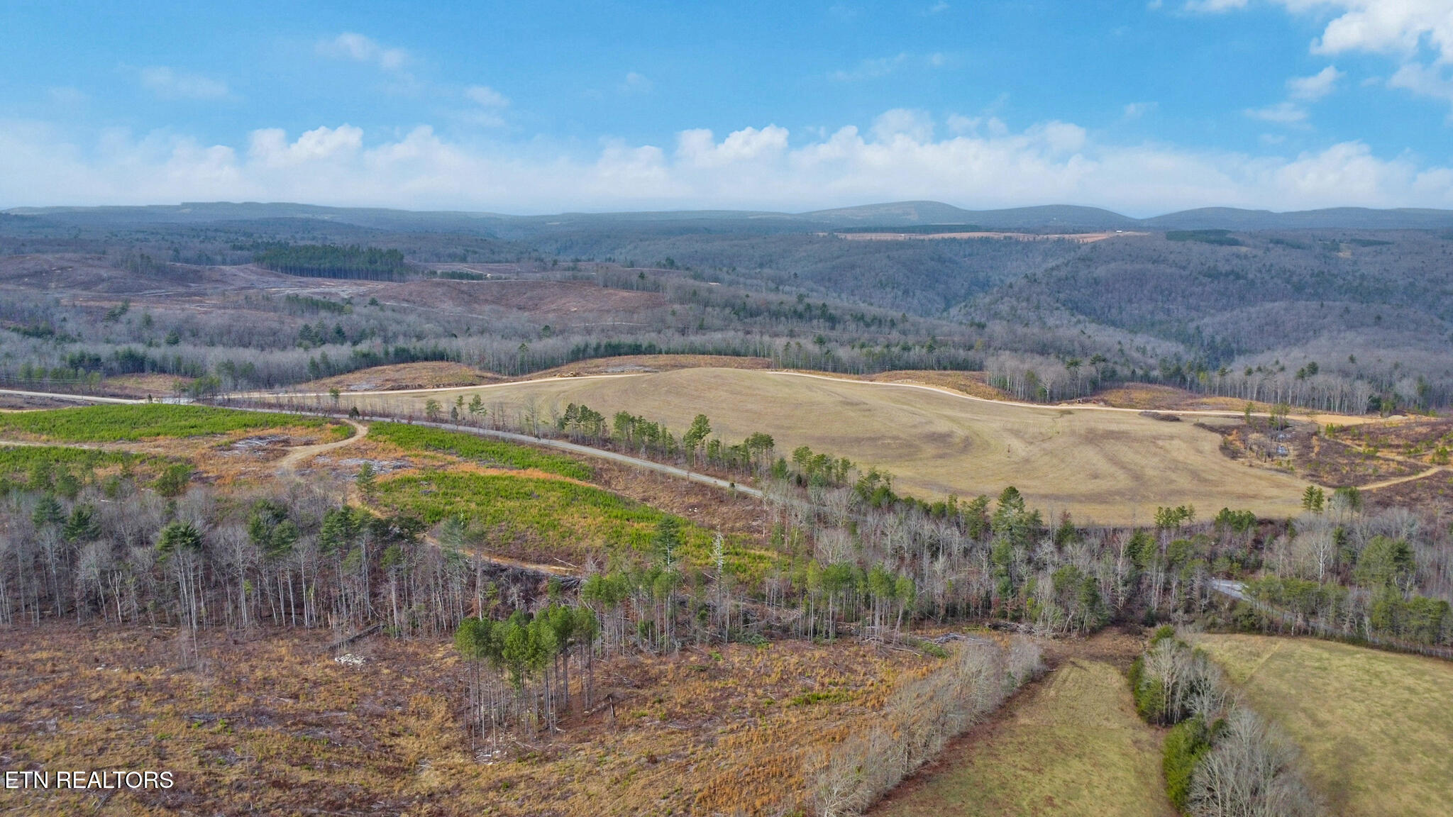 Possom Trot Road - Tract 4 Grandview TN 37337