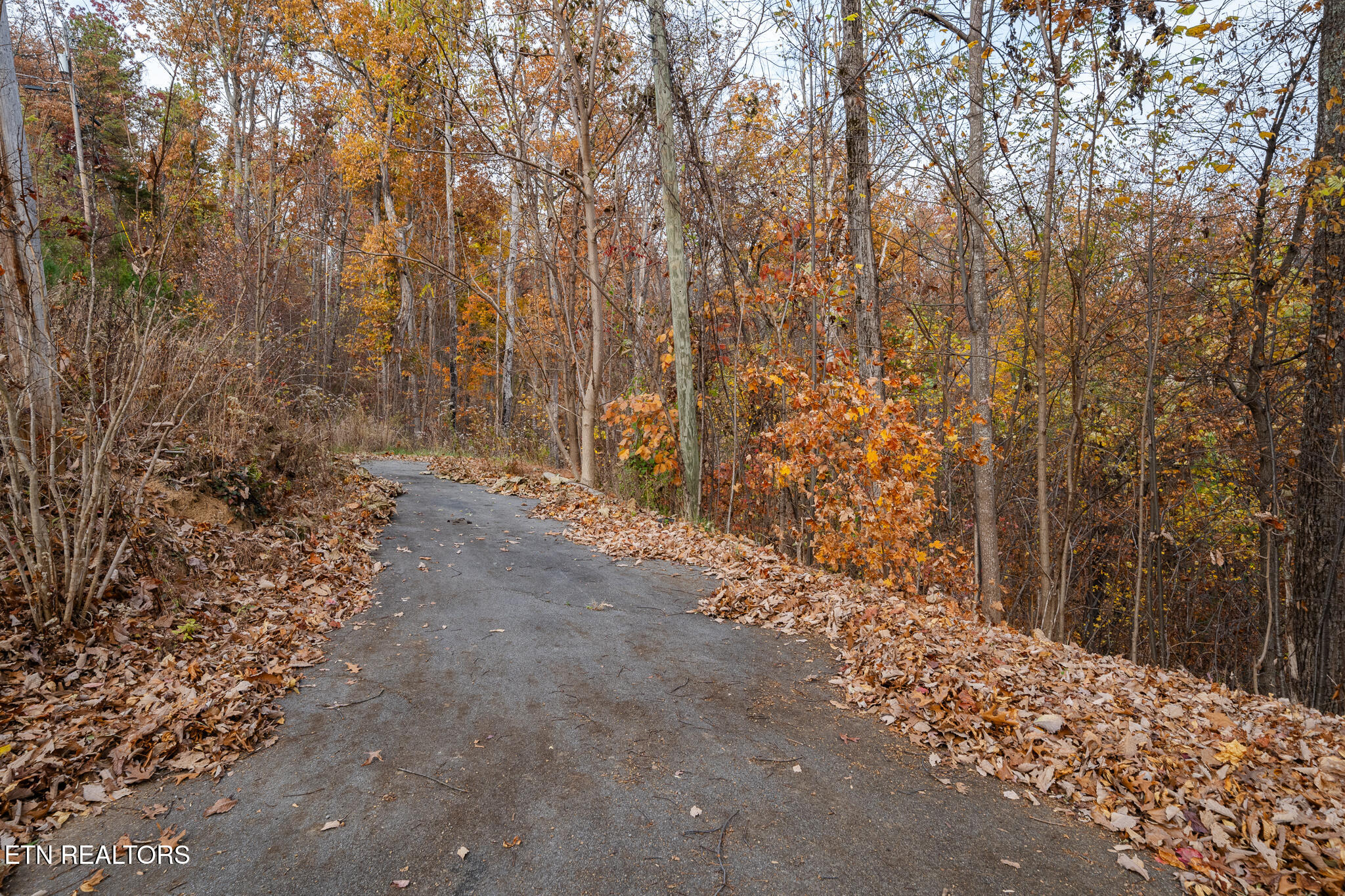 815 Red Fox Trail Gatlinburg TN 37738