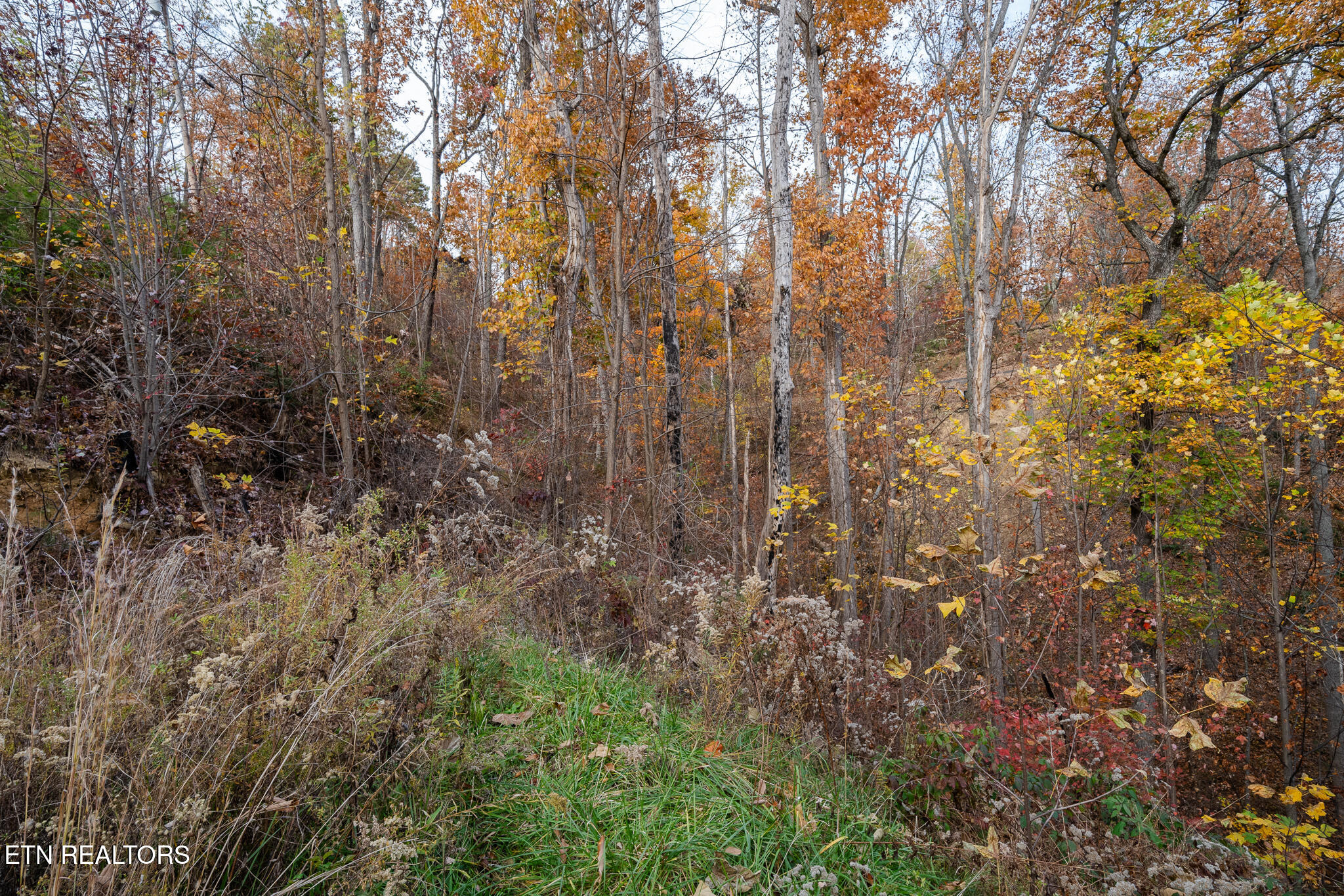815 Red Fox Trail Gatlinburg TN 37738