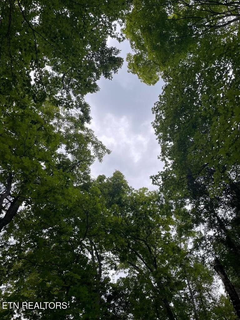 Lot 784 Russell Brothers Road Sharps Chapel TN 37866