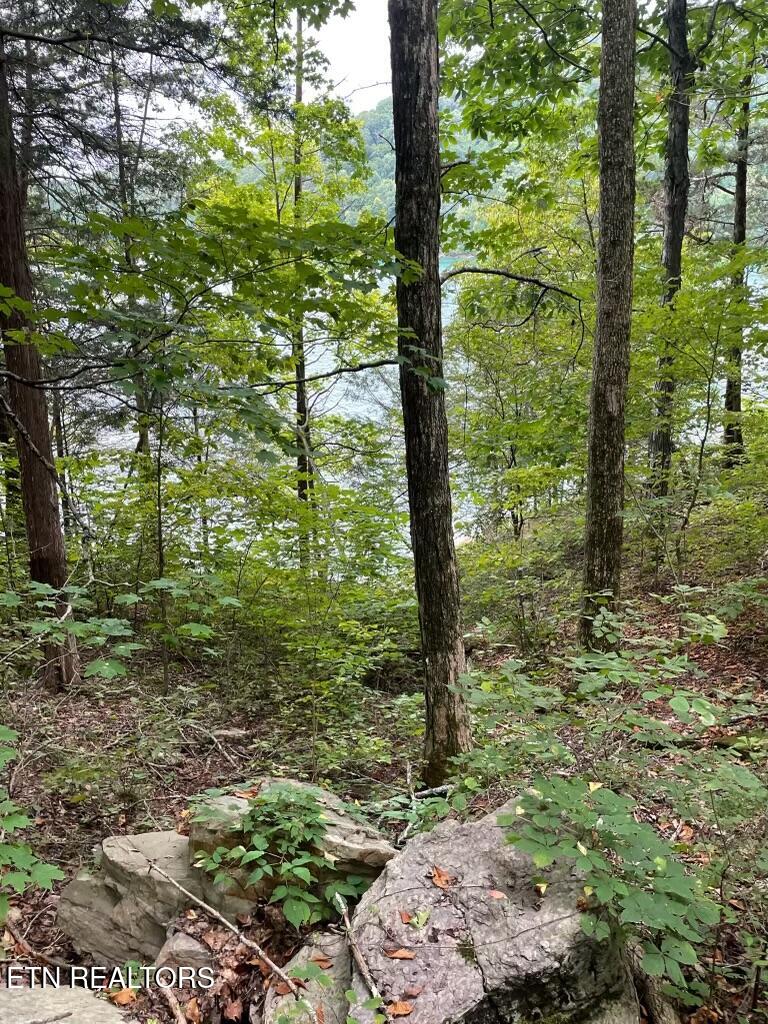 Lot 784 Russell Brothers Road Sharps Chapel TN 37866