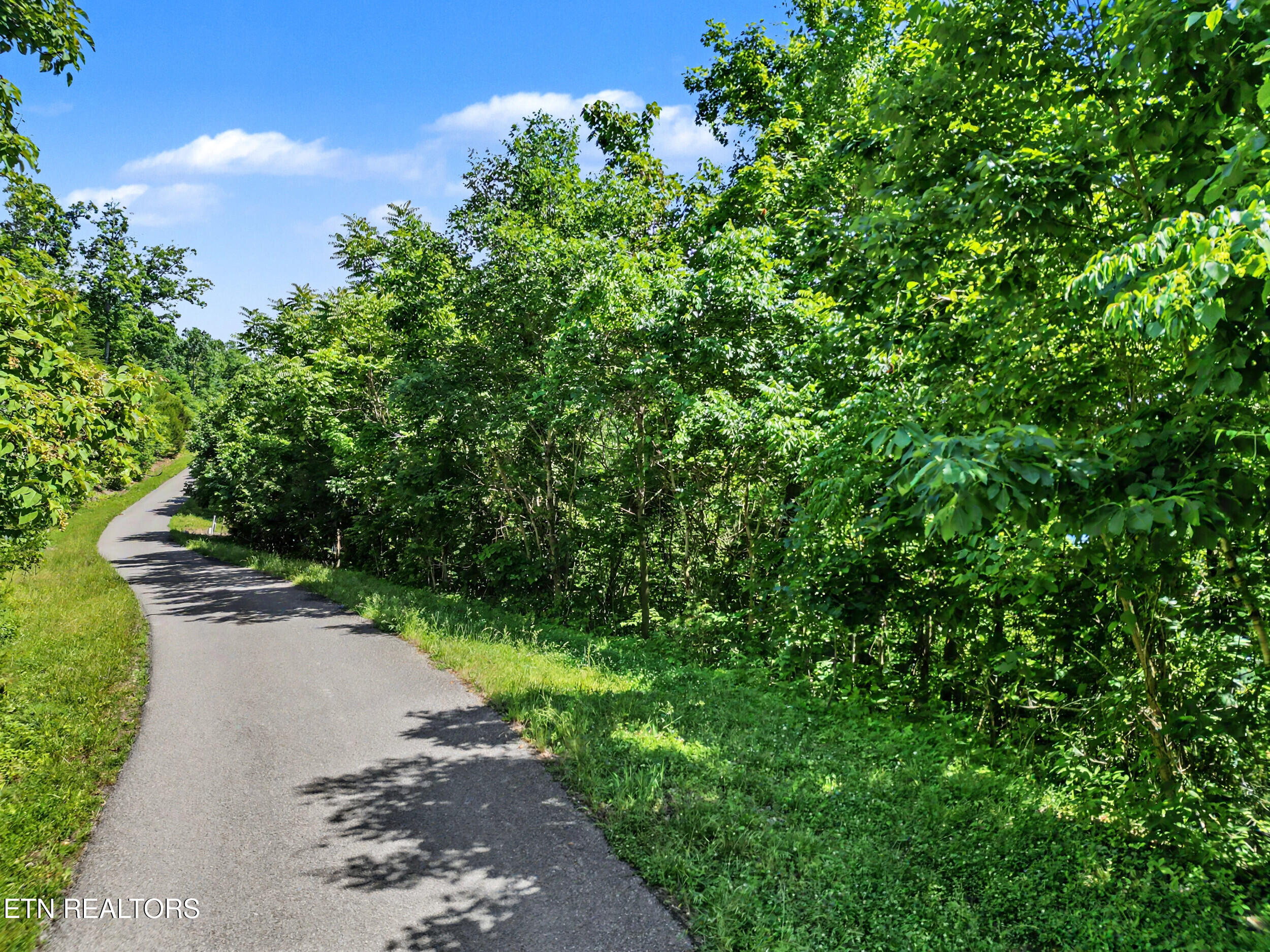 Lot 784 Russell Brothers Road Sharps Chapel TN 37866