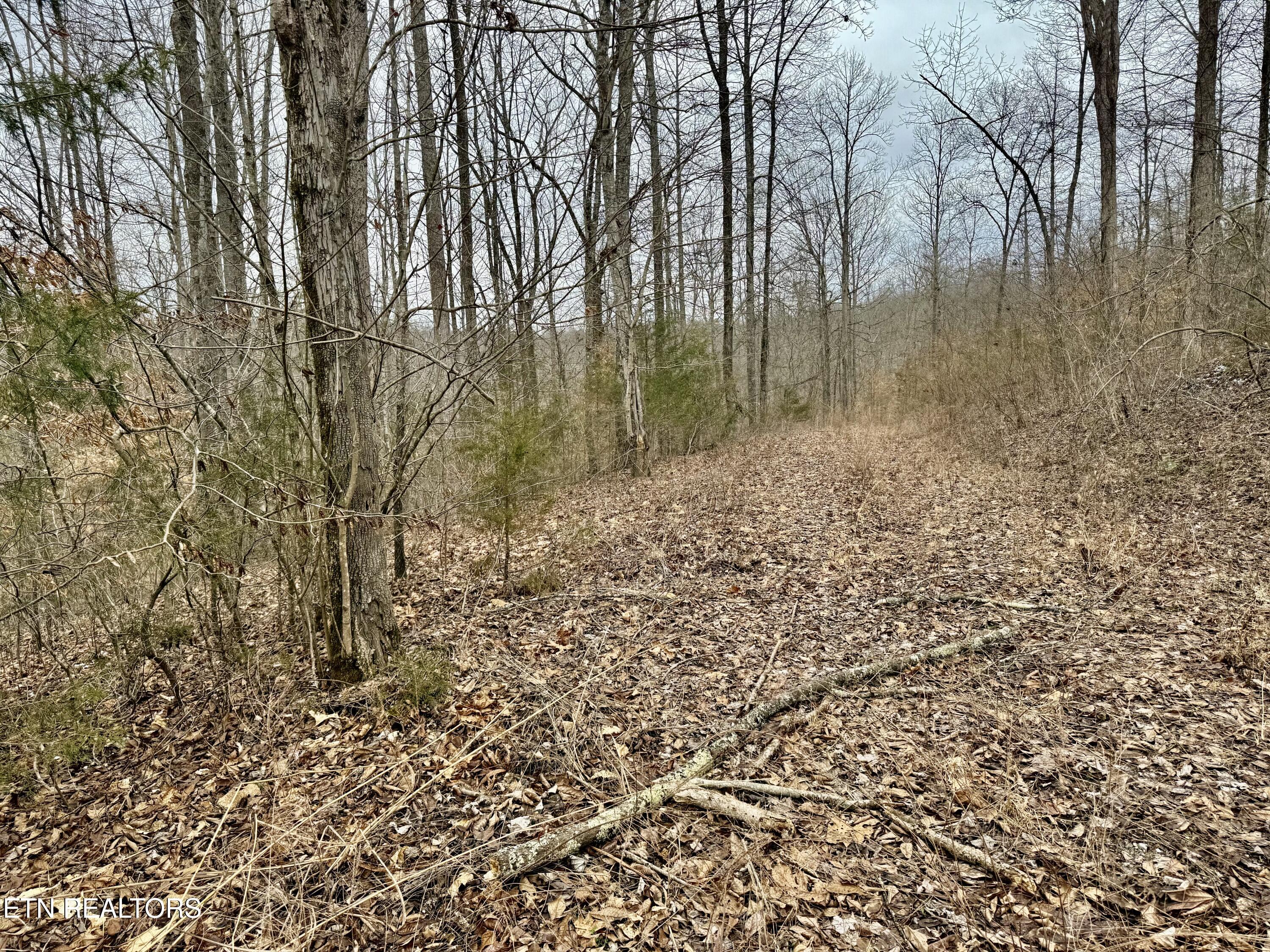 Harness Lane Speedwell TN 37870