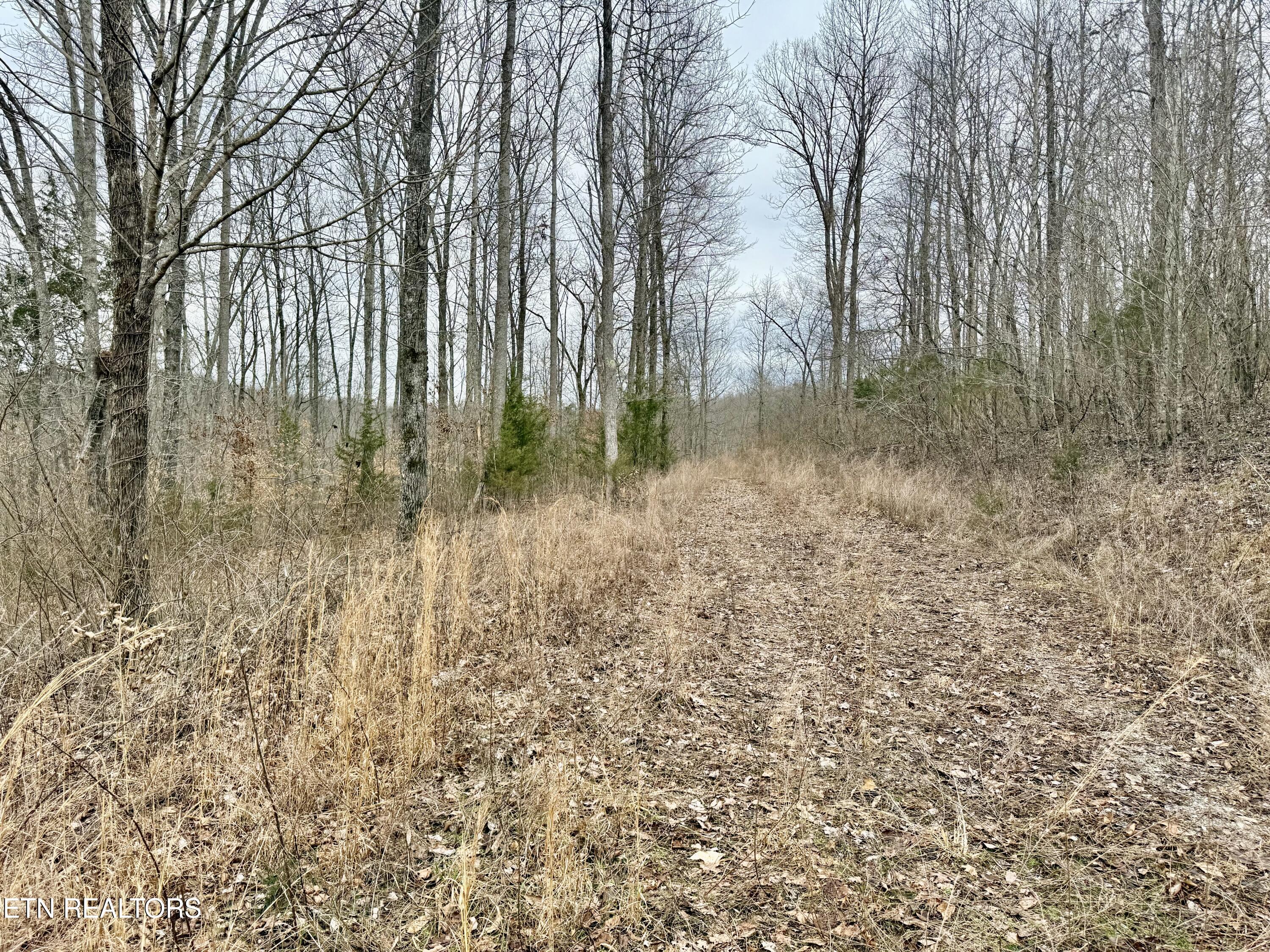 Harness Lane Speedwell TN 37870
