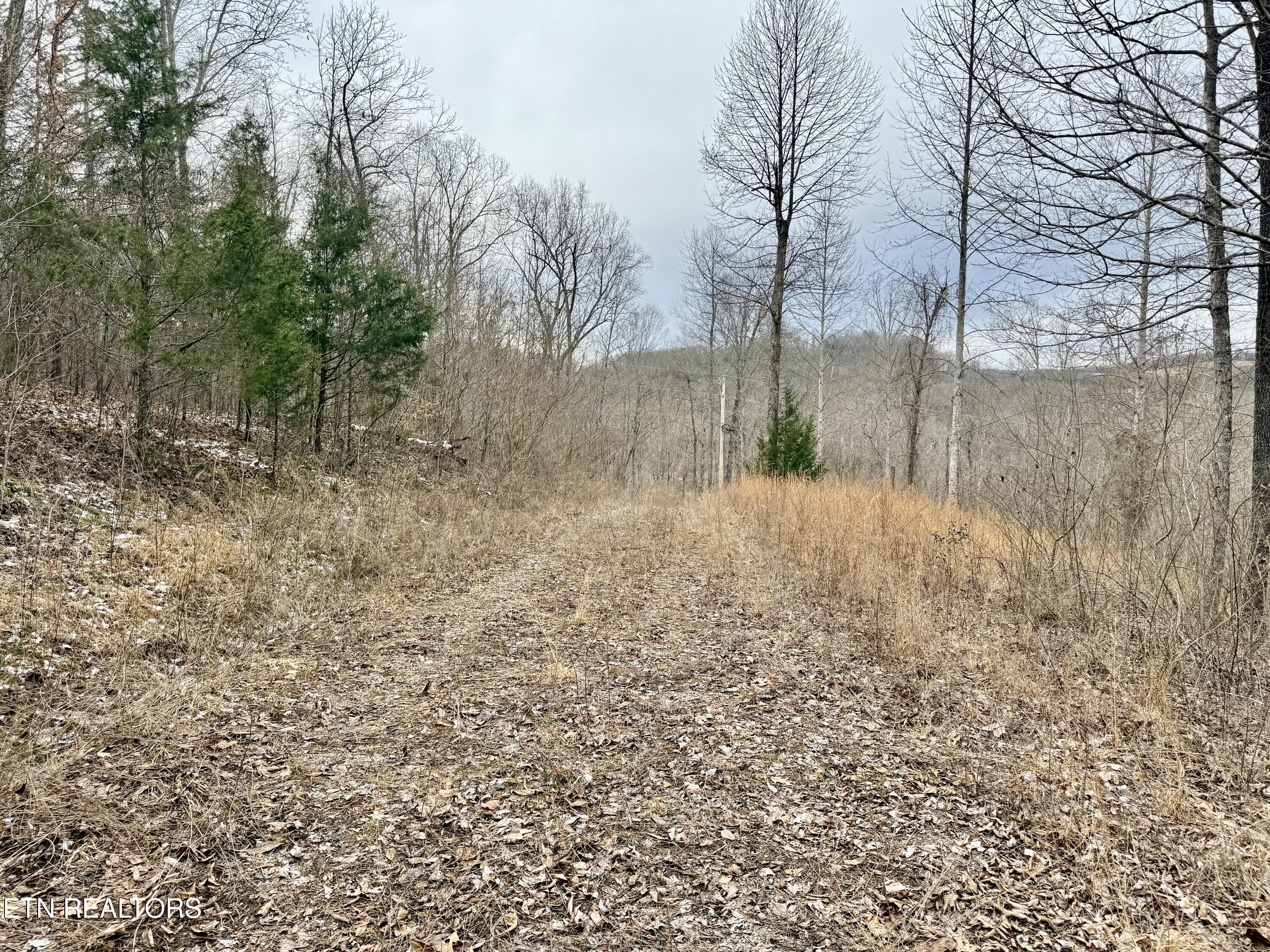 Harness Lane Speedwell TN 37870