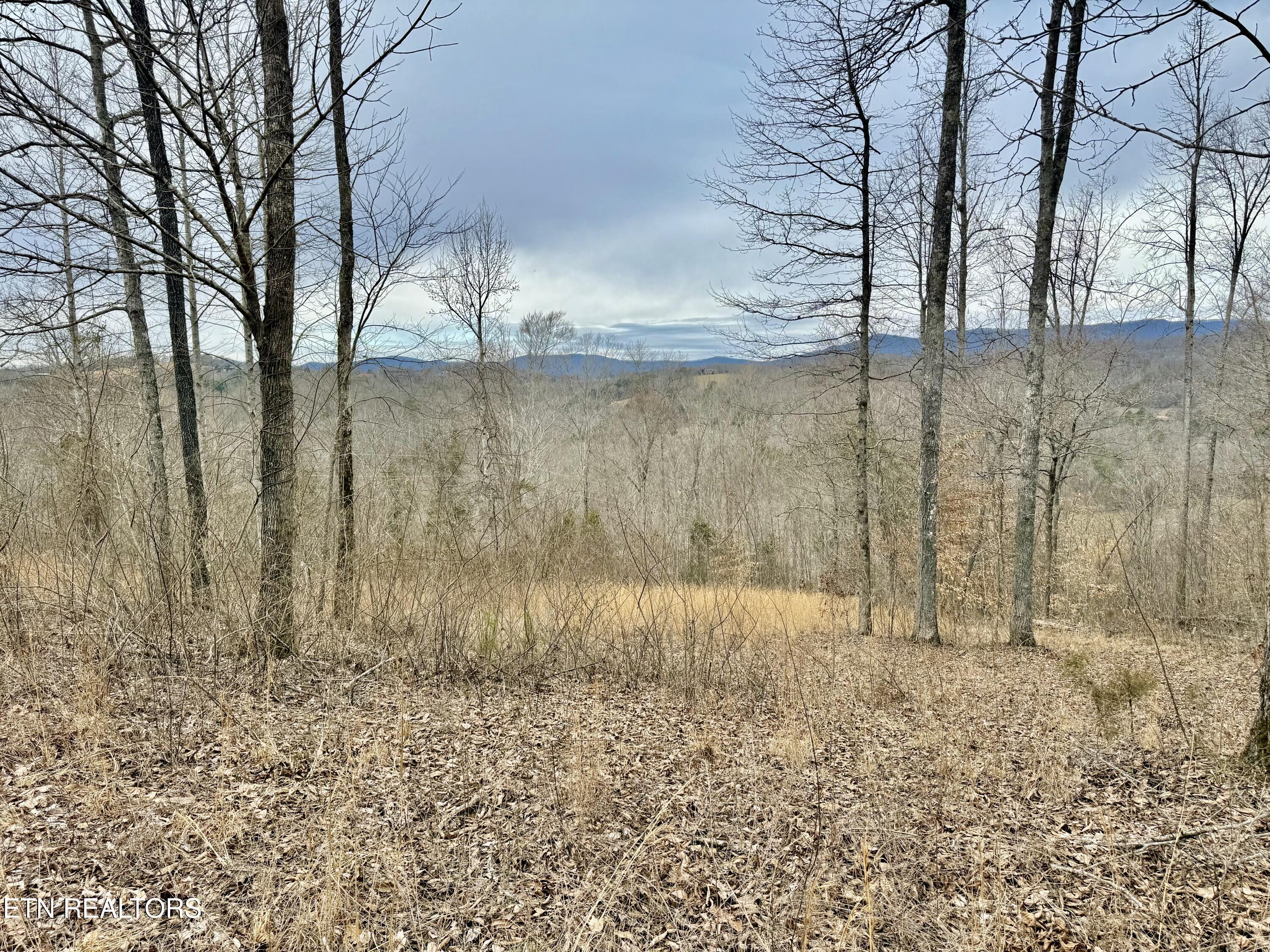 Harness Lane Speedwell TN 37870
