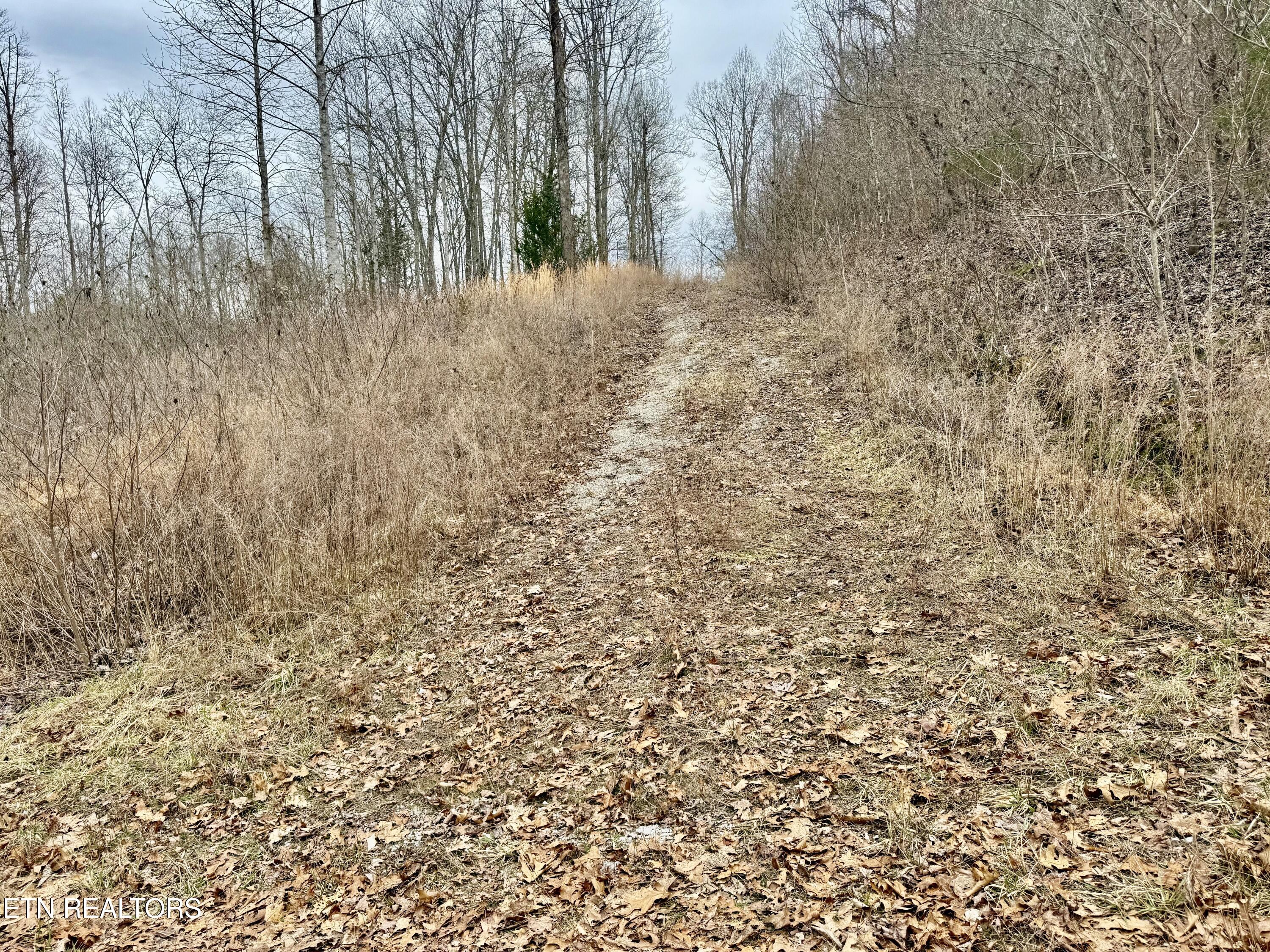 Harness Lane Speedwell TN 37870