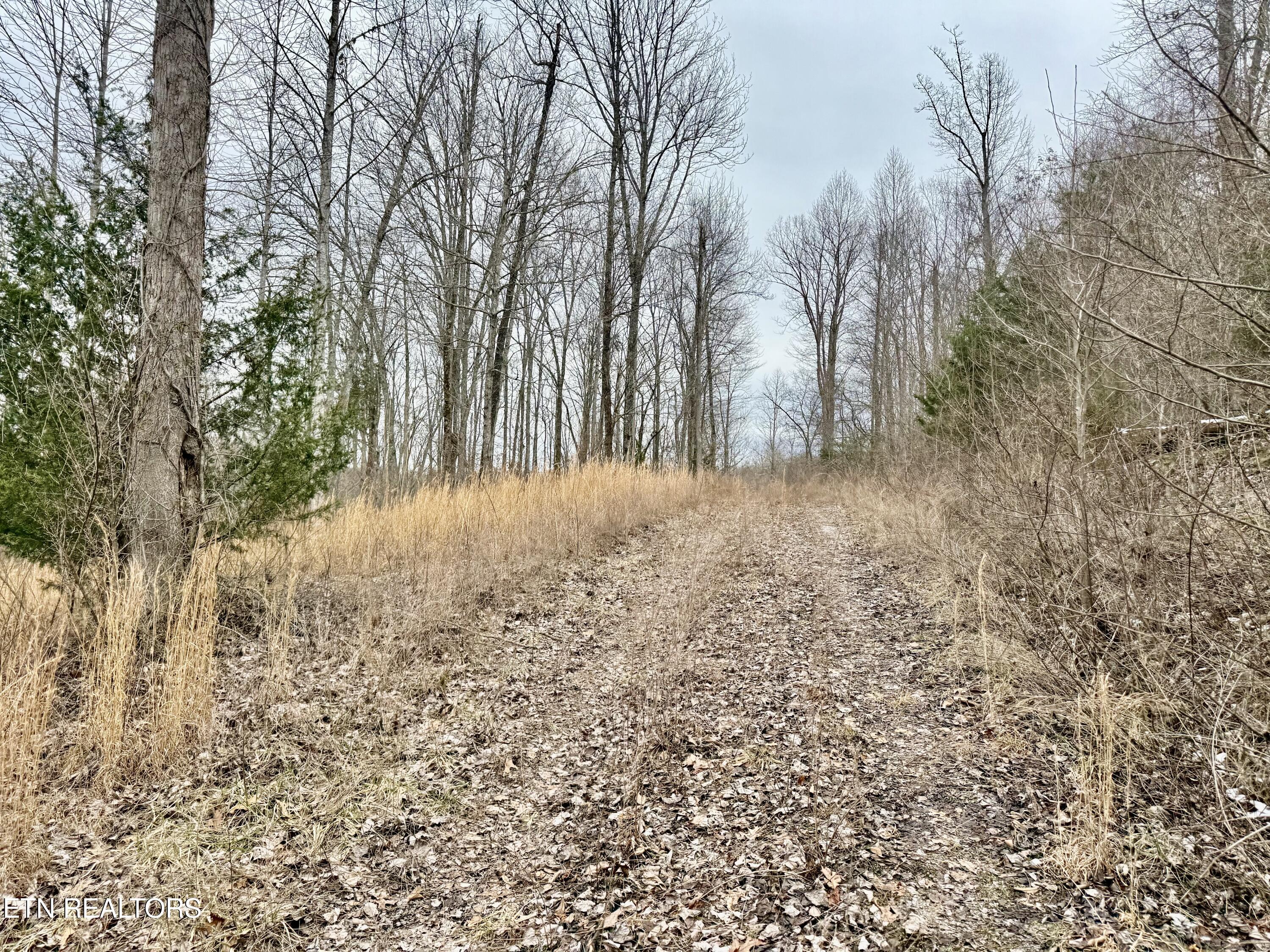 Harness Lane Speedwell TN 37870