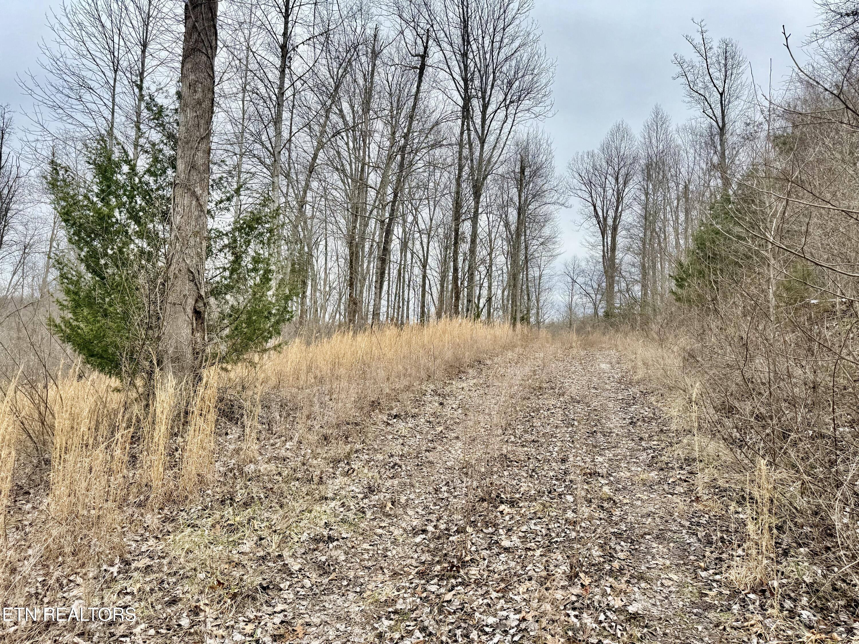 Harness Lane Speedwell TN 37870