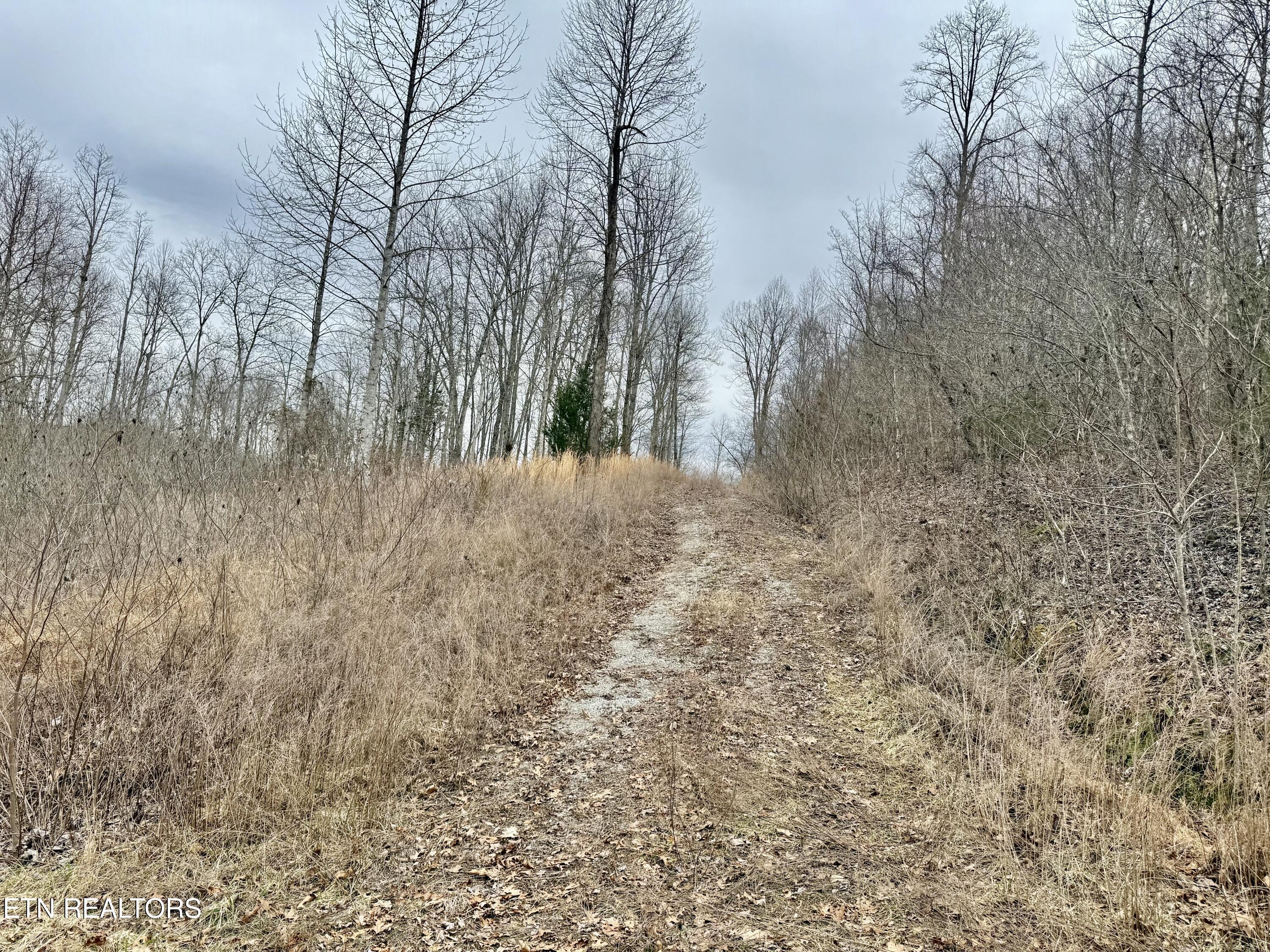 Harness Lane Speedwell TN 37870