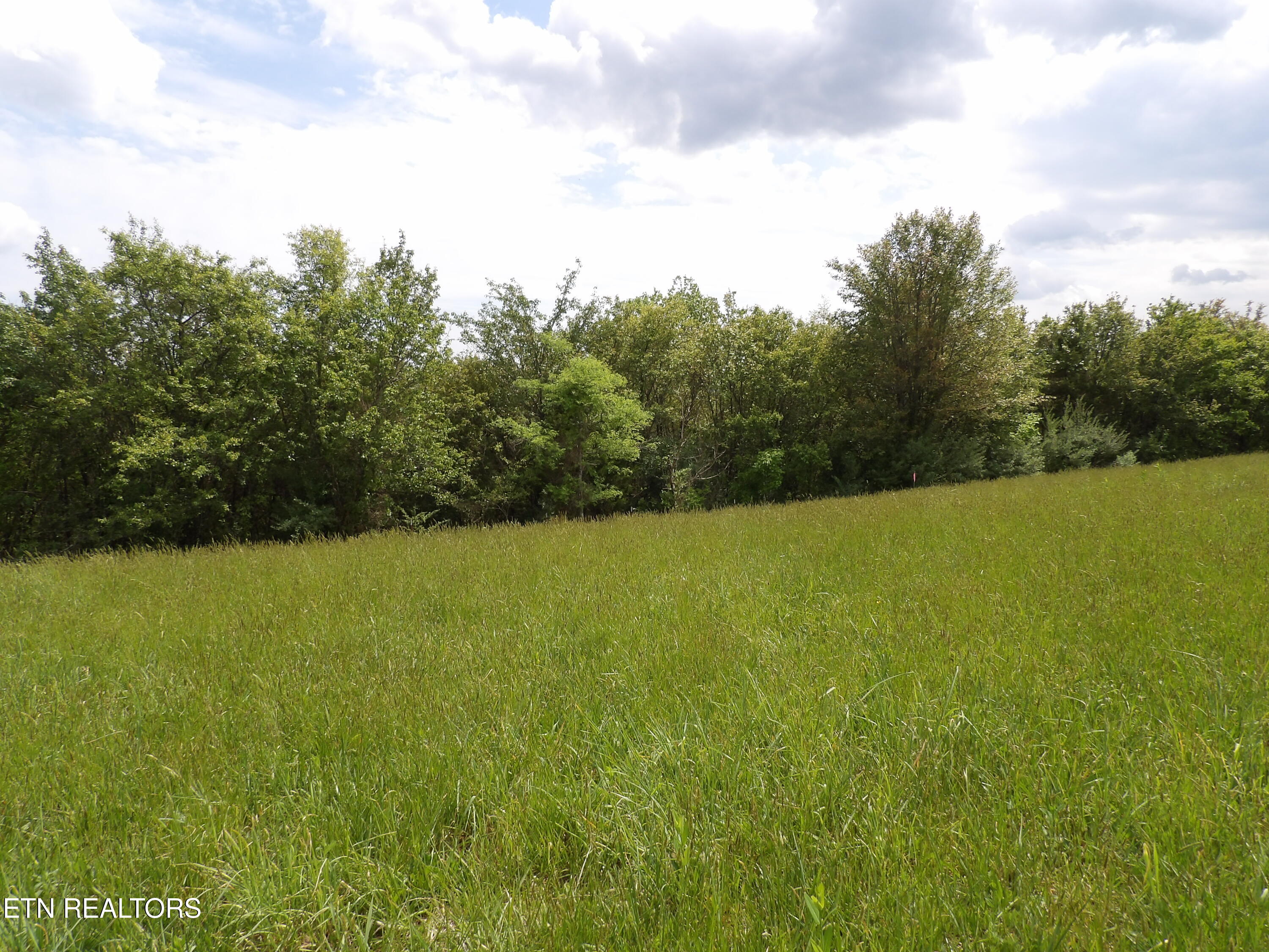 Tbd Bolton Hollow Road Harrogate TN 37752