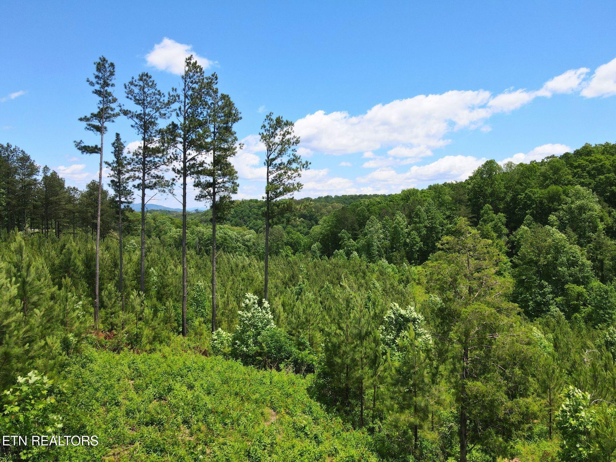 2070 Winding Trail Vonore TN 37885