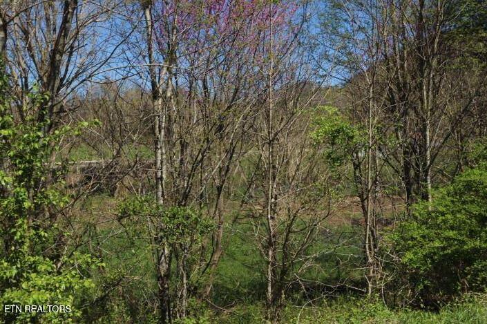 2 Cherohala Skyway Tellico Plains TN 37385