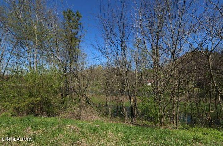 2 Cherohala Skyway Tellico Plains TN 37385