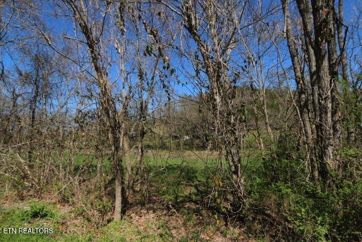 2 Cherohala Skyway Tellico Plains TN 37385