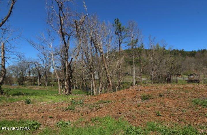 2 Cherohala Skyway Tellico Plains TN 37385