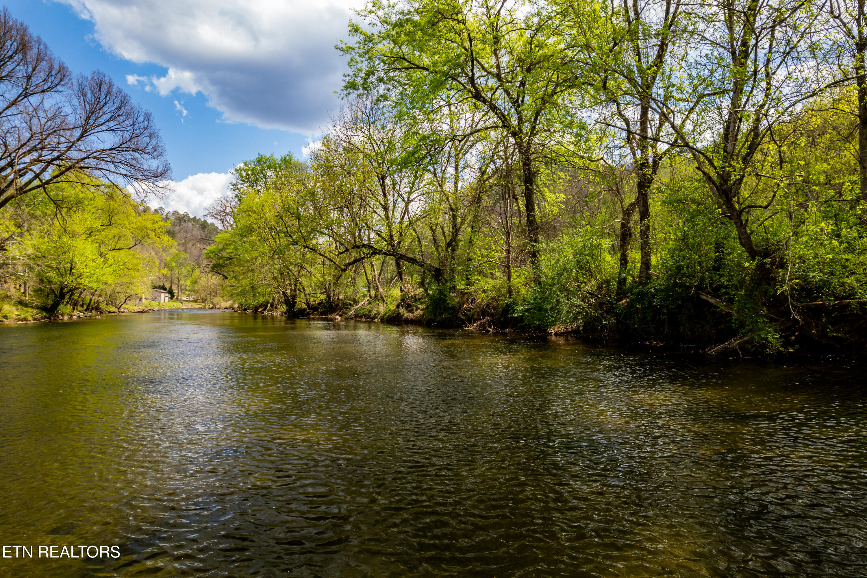 2 Cherohala Skyway Tellico Plains TN 37385
