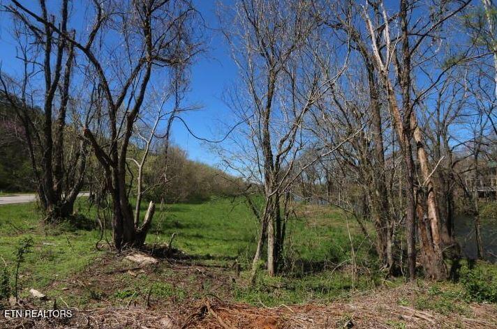 2 Cherohala Skyway Tellico Plains TN 37385