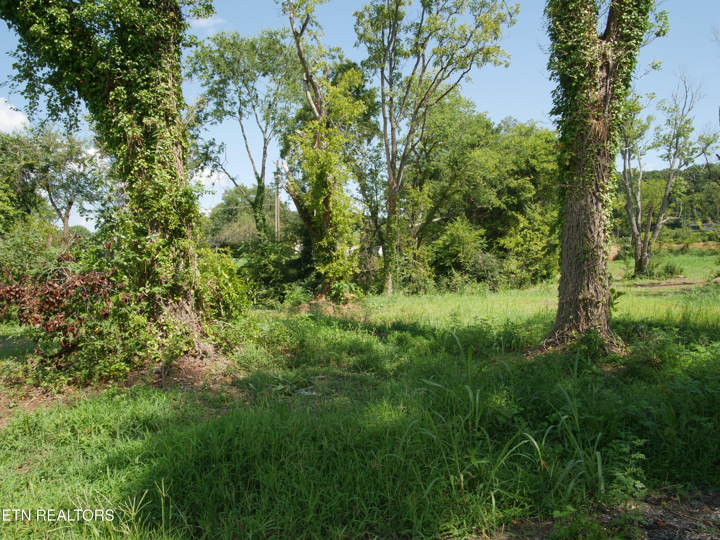 1735 Highway 411 Vonore TN 37885