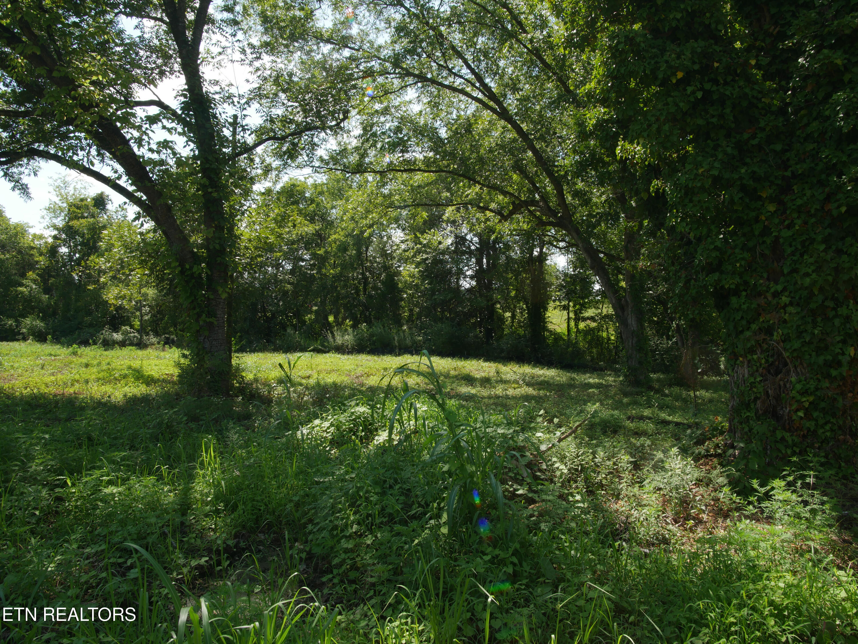 1735 Highway 411 Vonore TN 37885