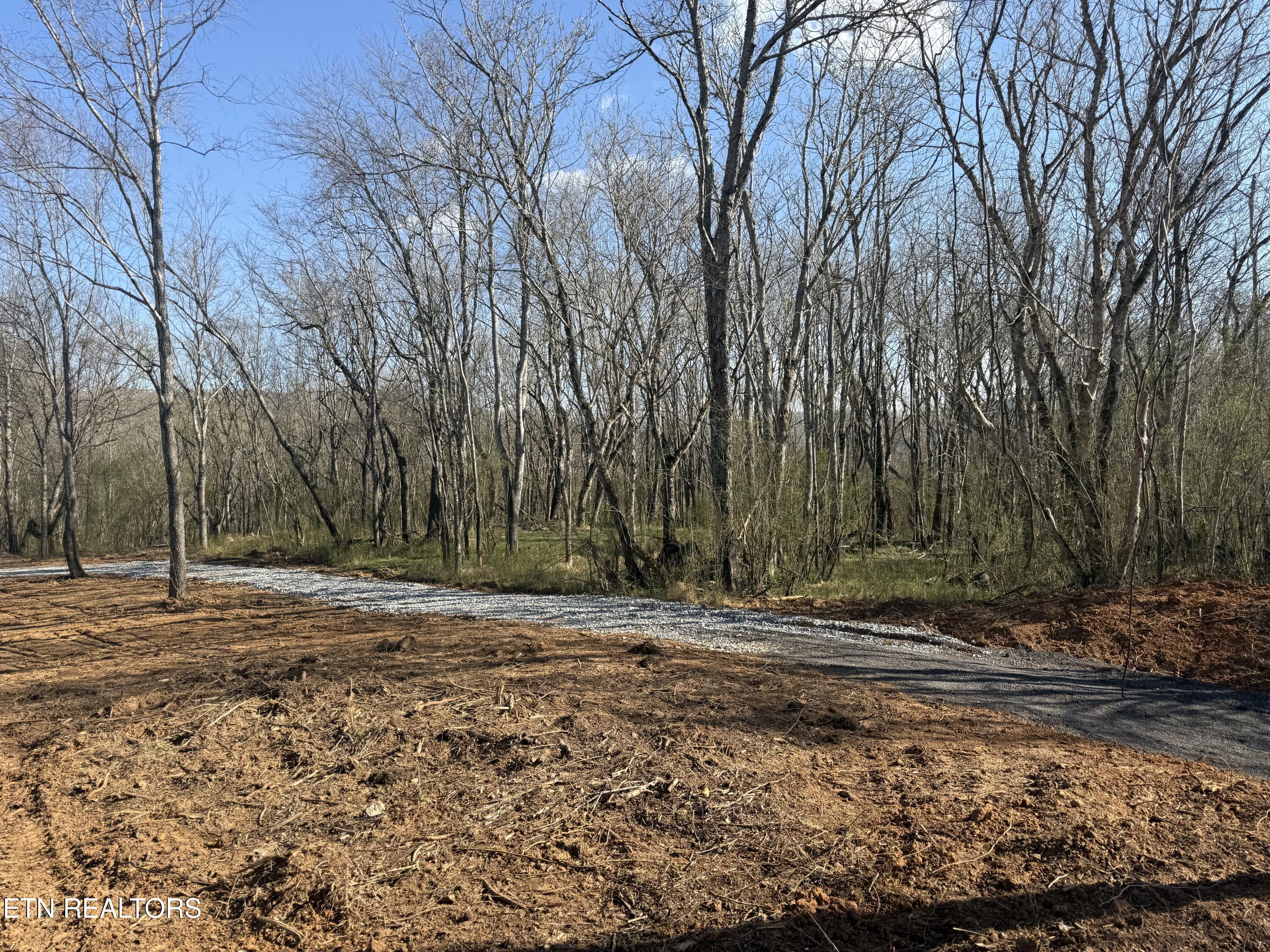 1561 Cane Creek-cummingsville Road Sparta TN 38583