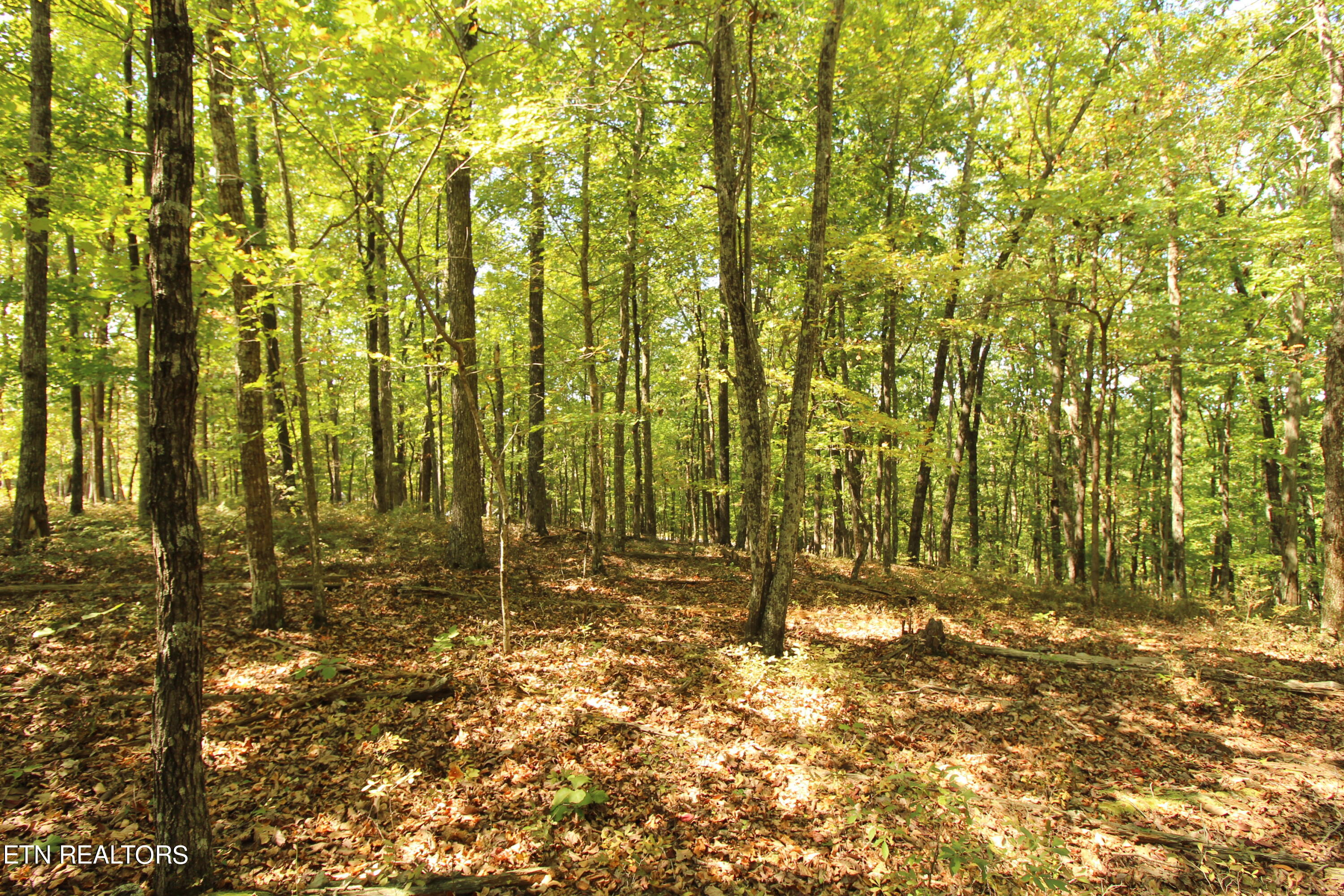 323 Rotherham Drive Fairfield Glade TN 38558