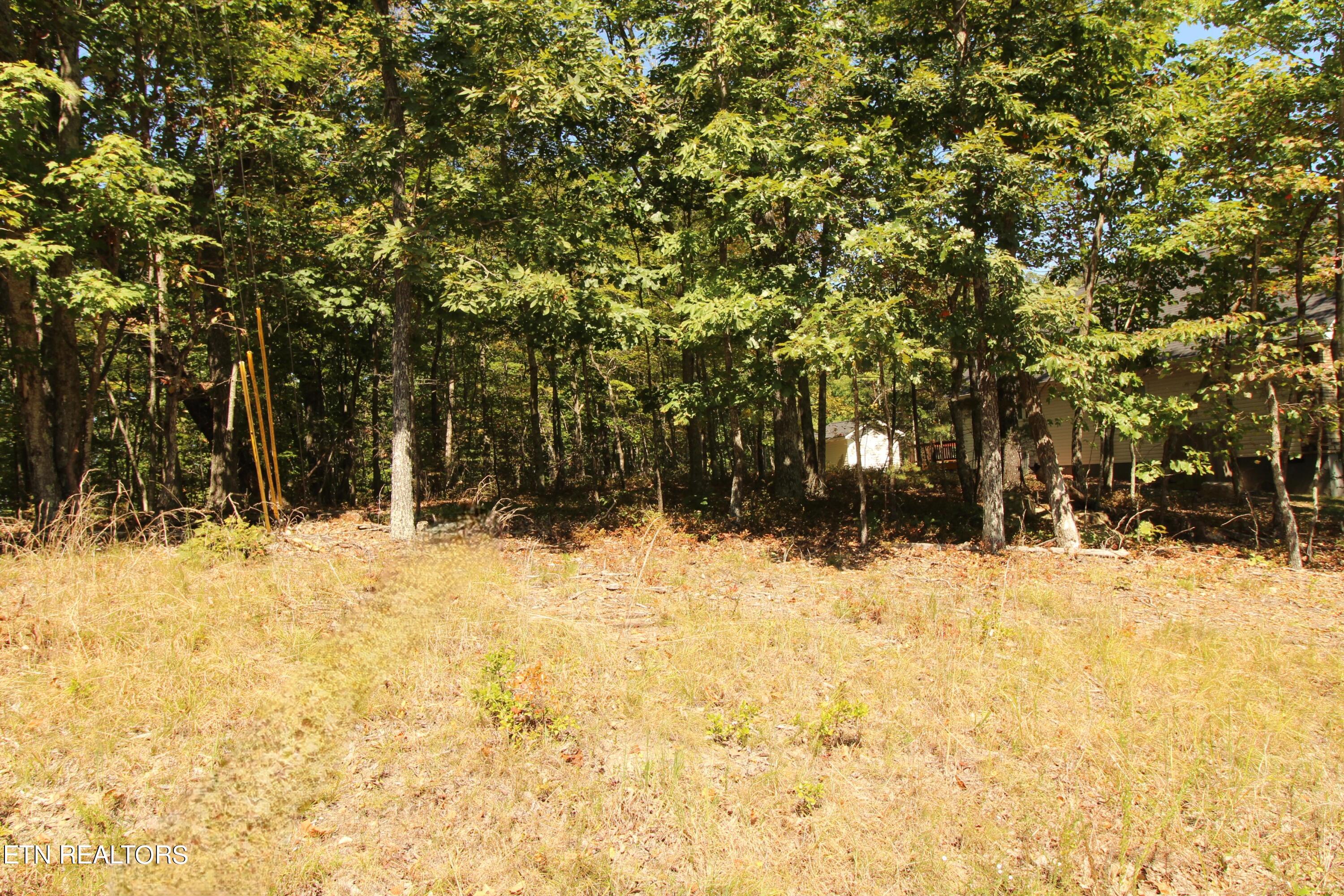 323 Rotherham Drive Fairfield Glade TN 38558